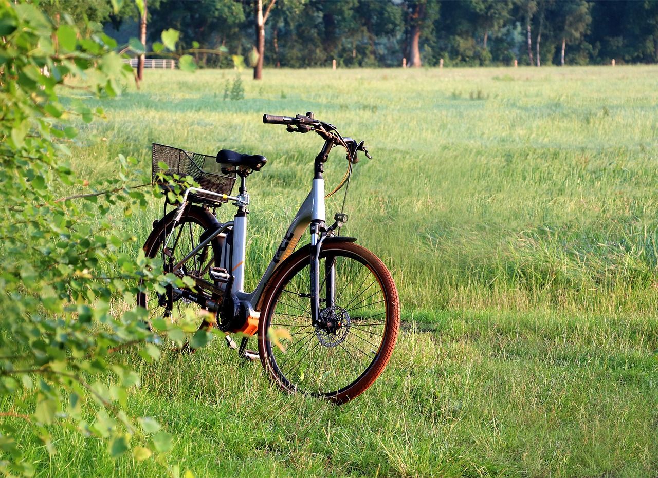 E-Fahrrad in der Wiese