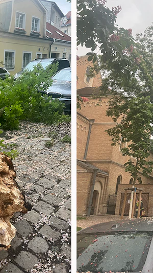 Gewitter in Wien: Heftiger Sturm mit Blitzen und Donner führte zu Feuerwehreinsätzen, umgestürzten Bäumen und Chaos beim ESC am Rathausplatz.