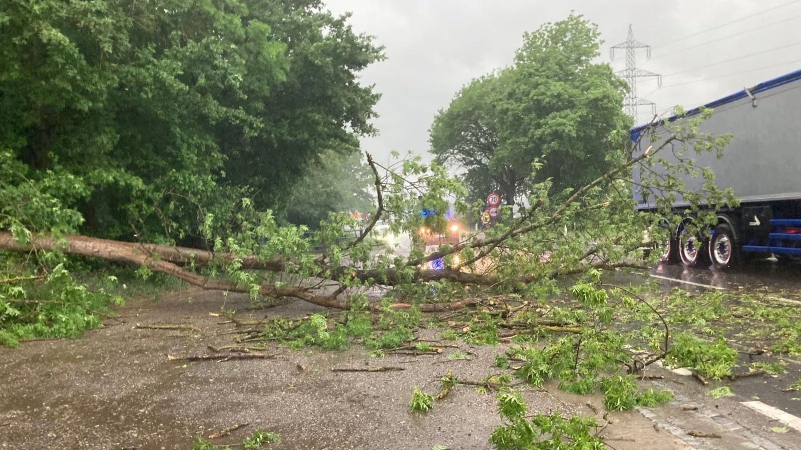 Die Feuerwehr Pöchlarn rückte aus, zerkleinerte den Baum mit der Motorsäge und entfernte die Äste und Stammteile von der Fahrbahn.