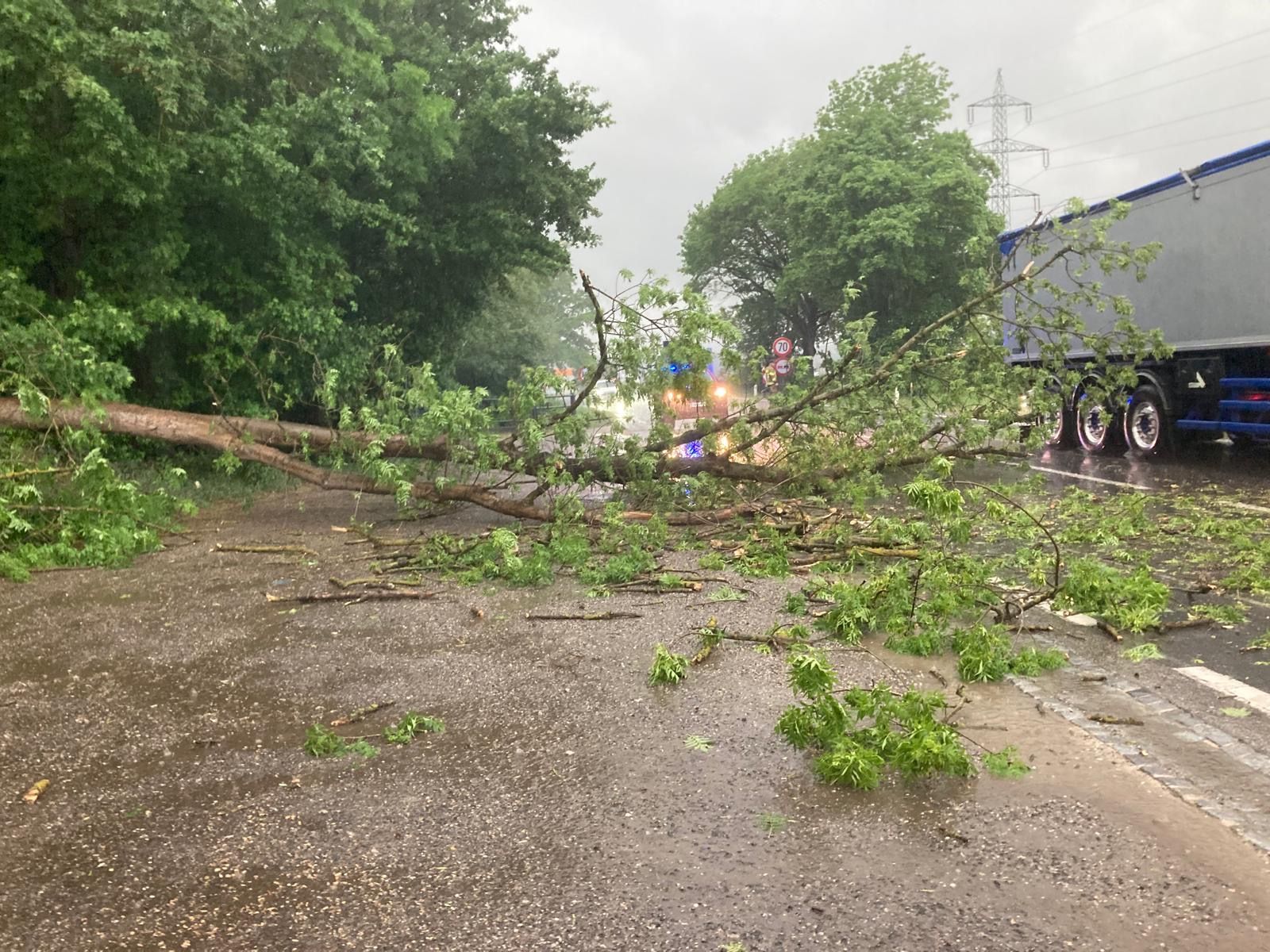 Auf der Bundesstraße B1 war ein Baum auf die Fahrbahn gestürzt und blockierte die Straße.