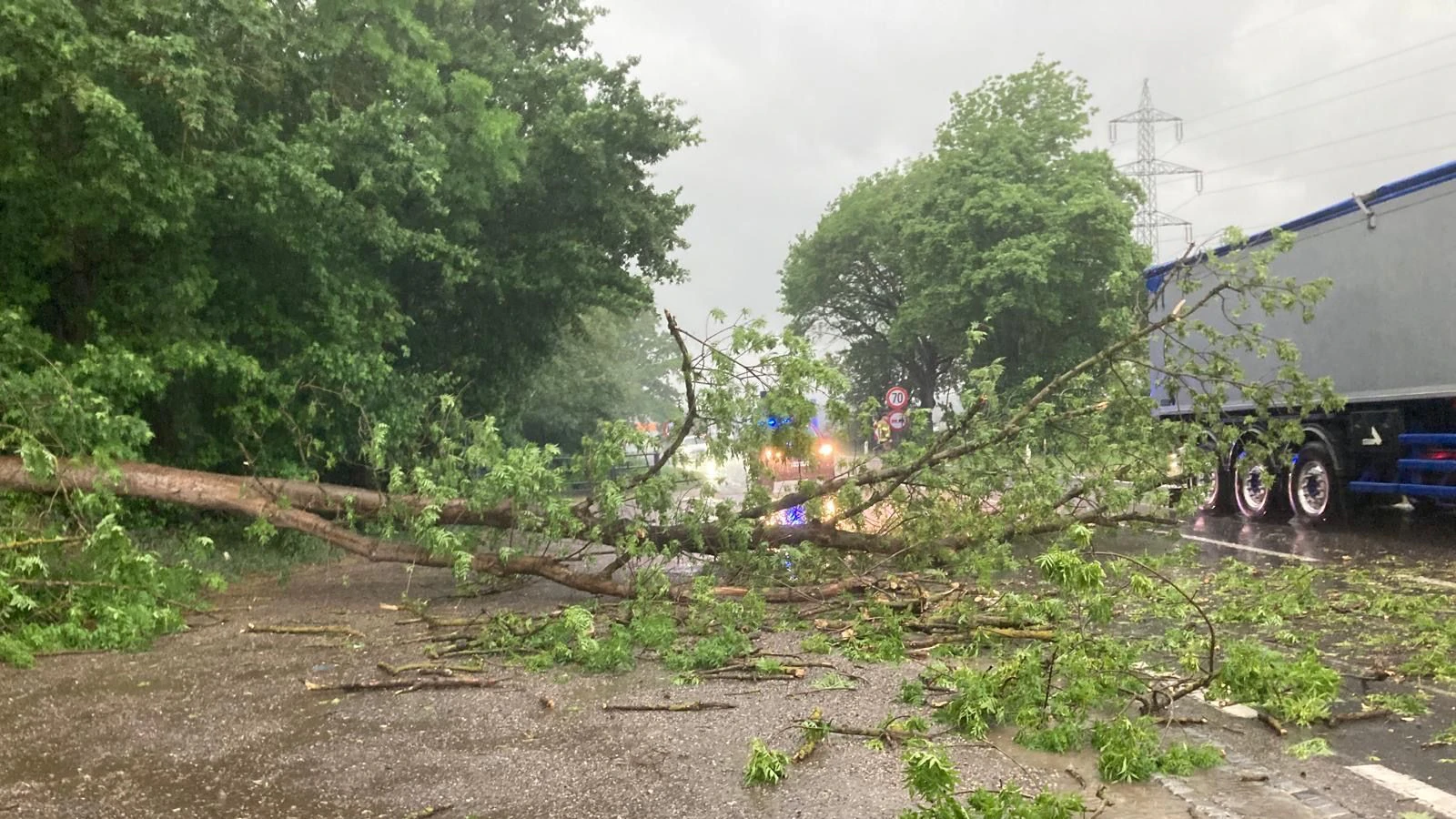 Auf der Bundesstraße B1 war ein Baum auf die Fahrbahn gestürzt und blockierte die Straße.