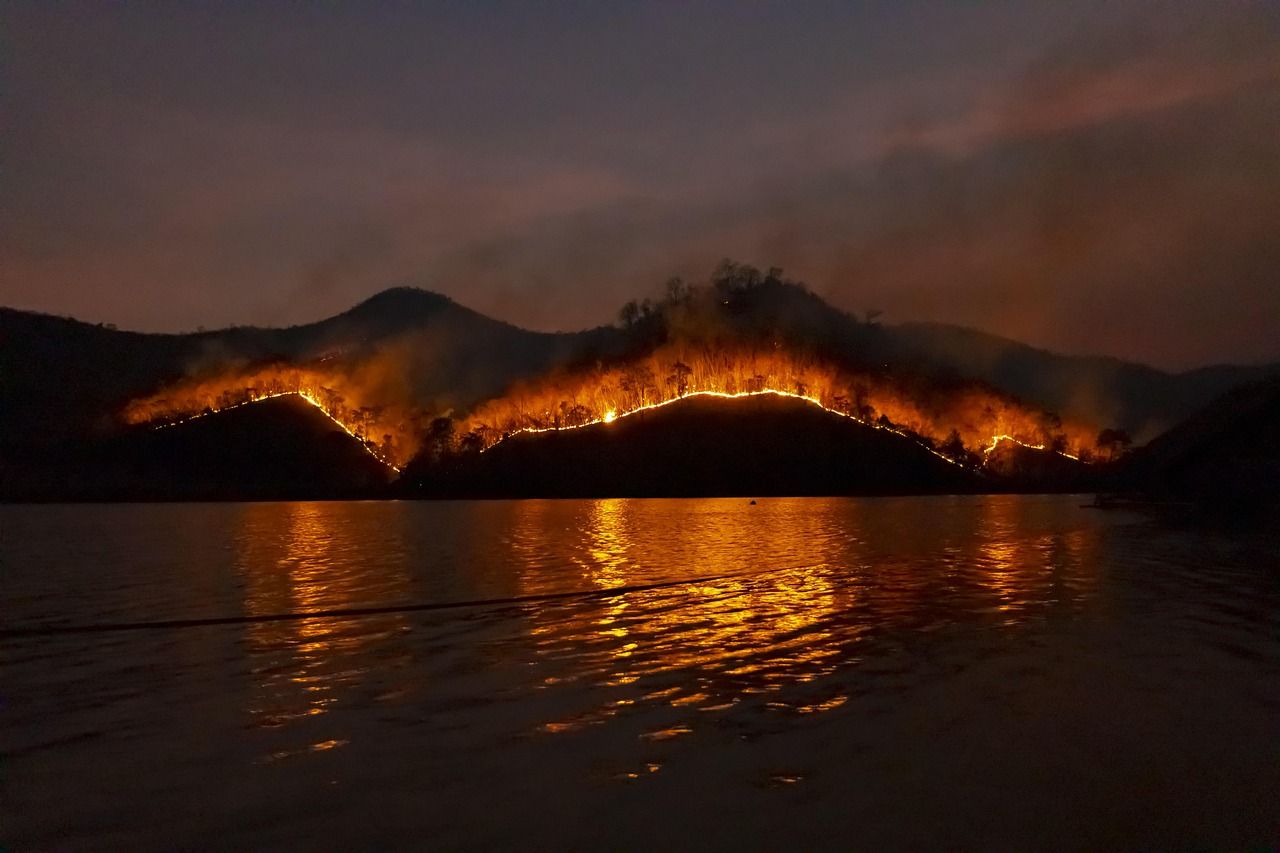 Waldbrand in vollem Gang