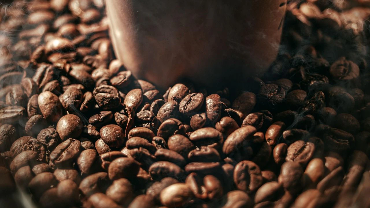 Heute.at - Kaffeesatz: Diese Pflanzen mögen ihn nicht