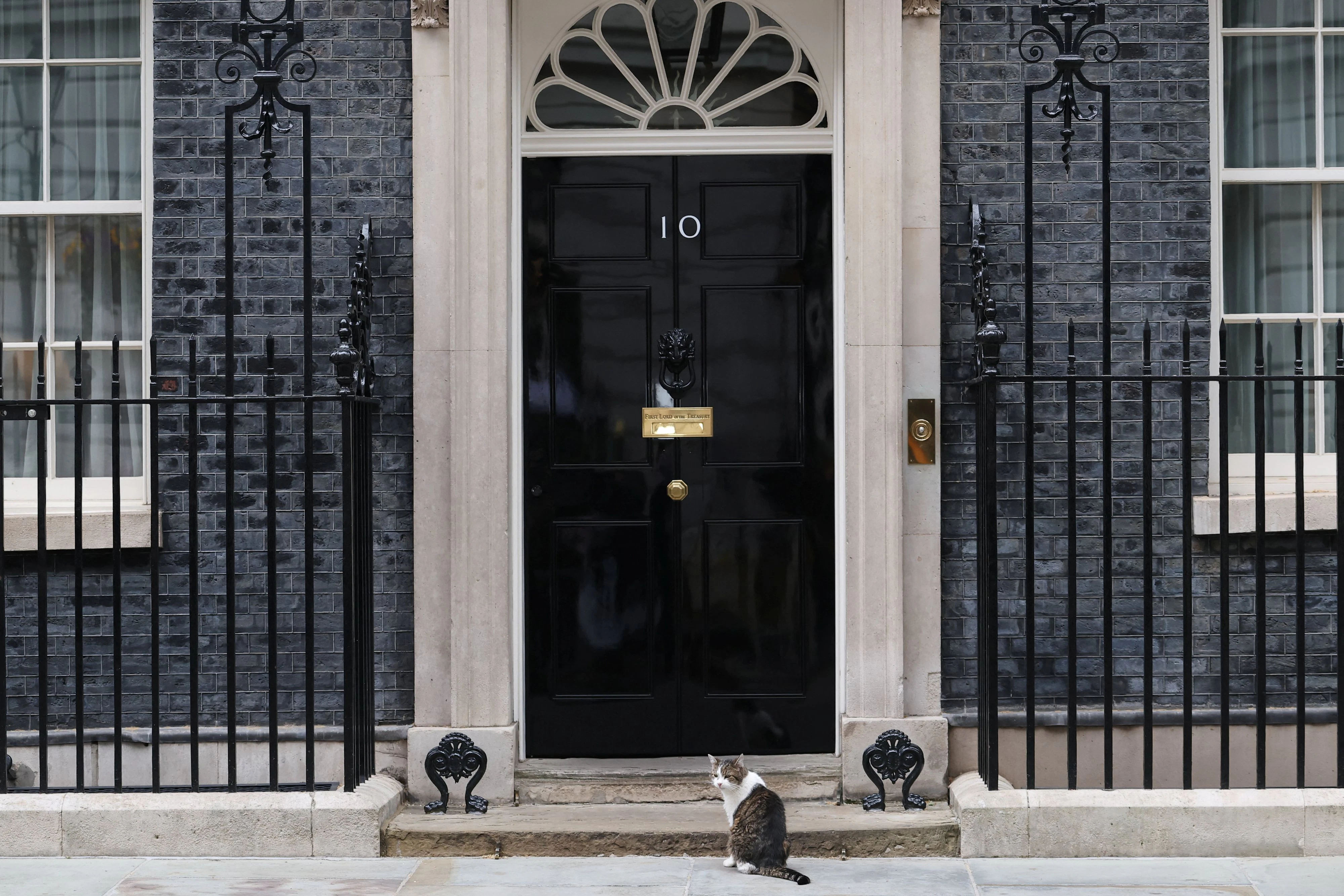 Larry the Cat wartet außerhalb von 10 Downing Street in London darauf, wer aus der Tür kommt