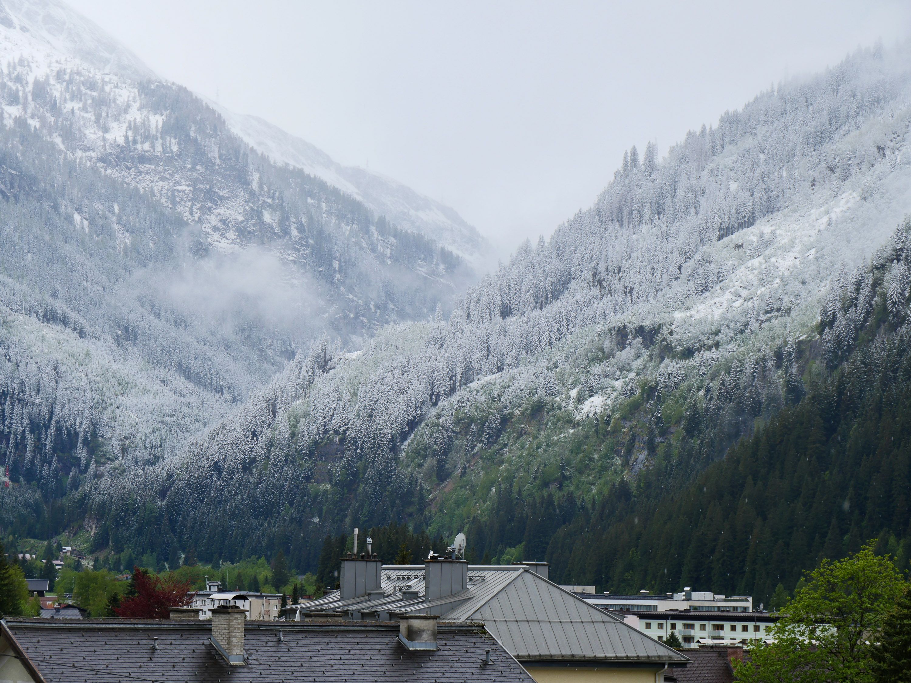 Heute.at - 30 cm Neuschnee! Jetzt kommt es noch einmal heftig