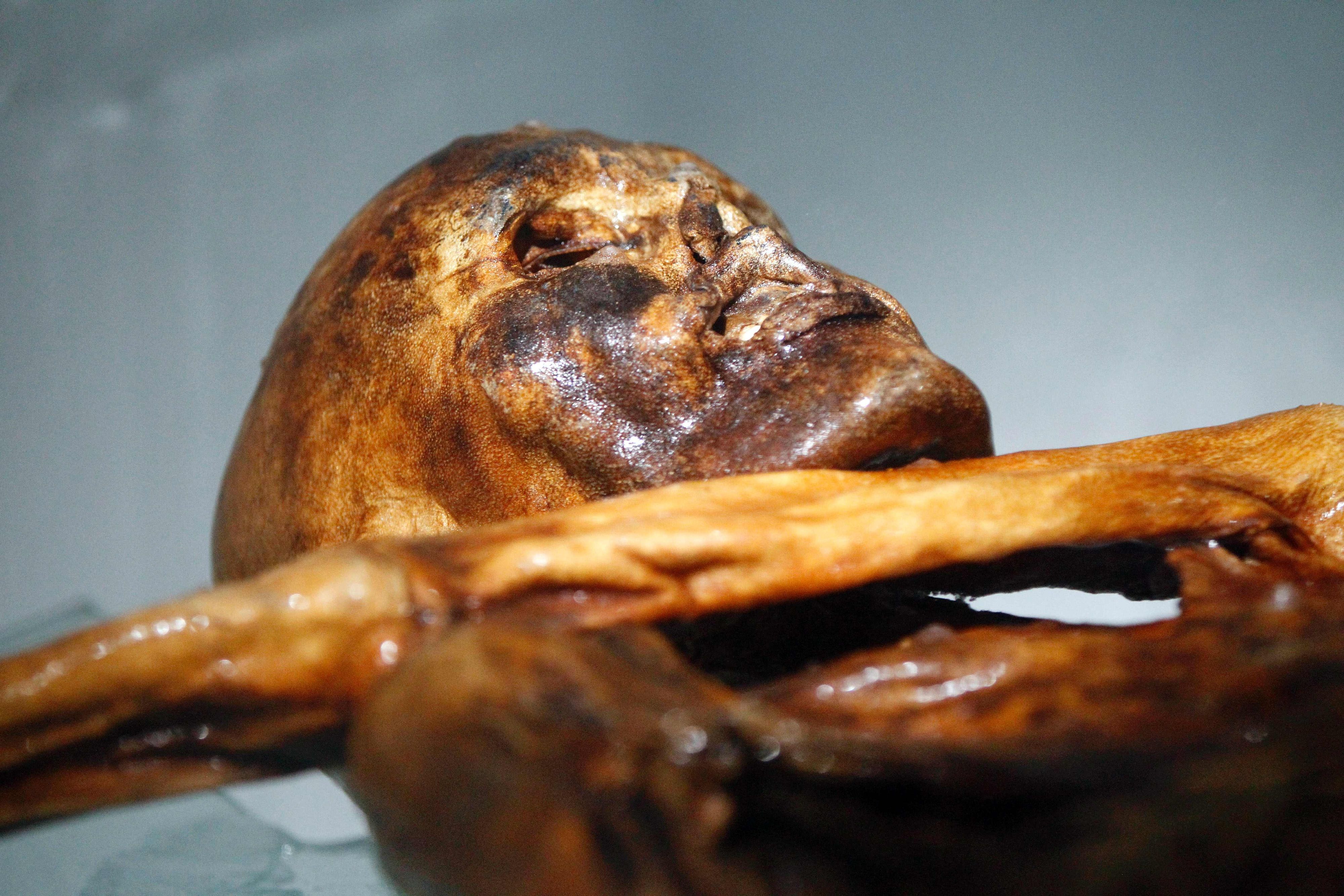Ötzi wurde 1991 in den Ötztaler Alpen entdeckt.
