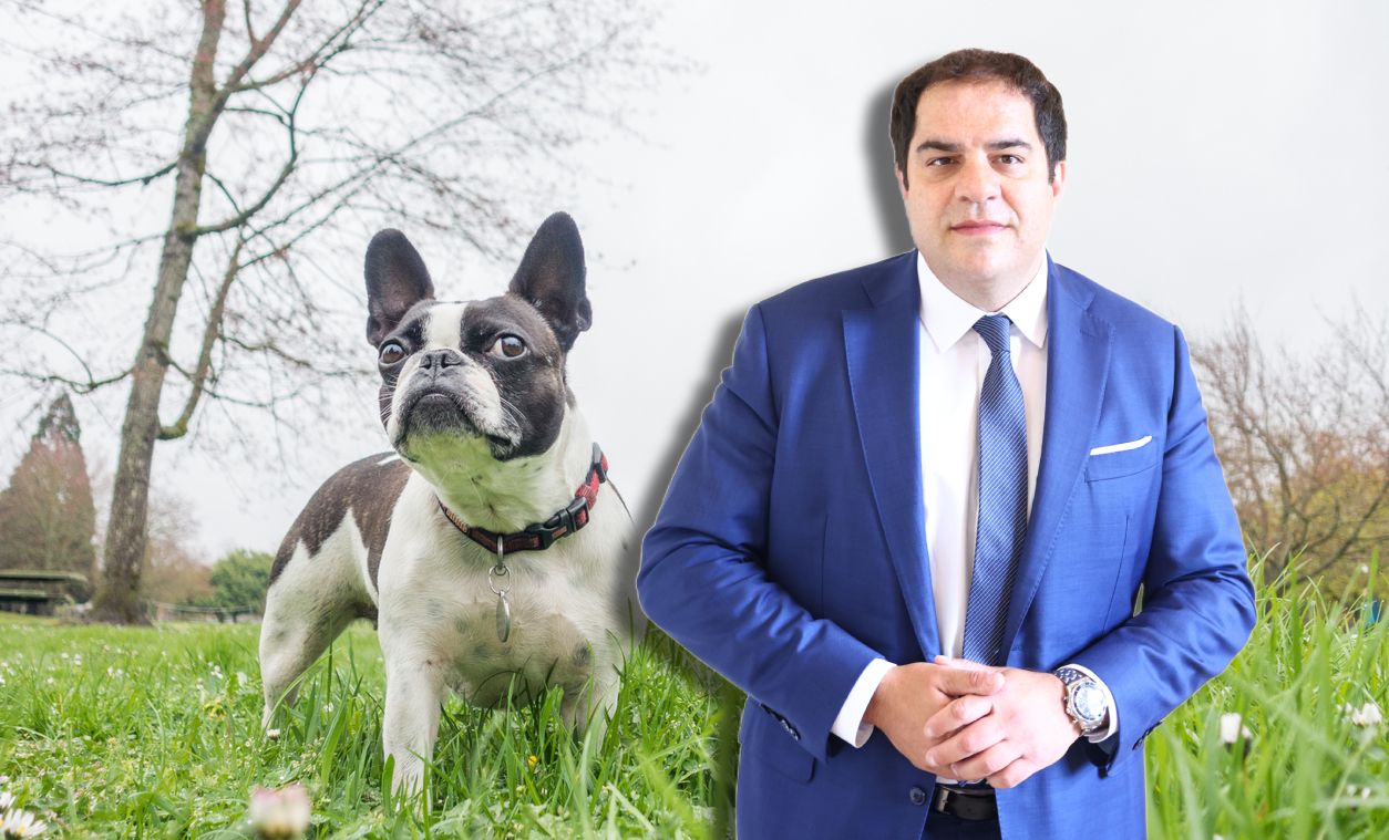 Anwalt Sascha Flatz ist als großer Tierfreund bekannt. Für den Tod von Bulldogge 