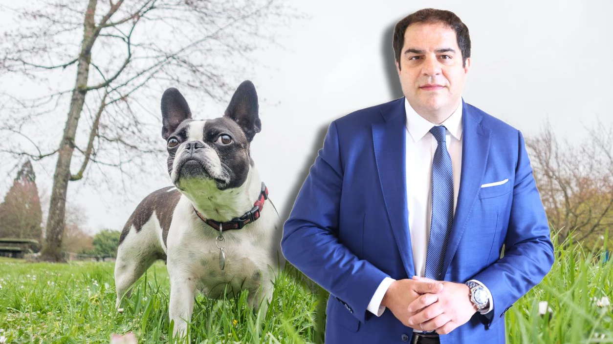 Anwalt Sascha Flatz ist als großer Tierfreund bekannt. Für den Tod von Bulldogge "Coco" kann sein Mandant jedoch nicht. 