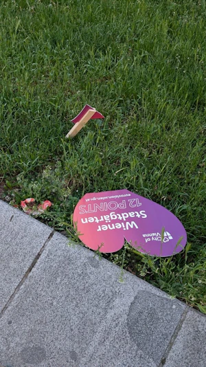 Eurovision Song Contest: Vandalismus am Wiener Schwarzenbergplatz – Papierherzen zerstört und rasch wieder aufgestellt. Polizei ermittelt.