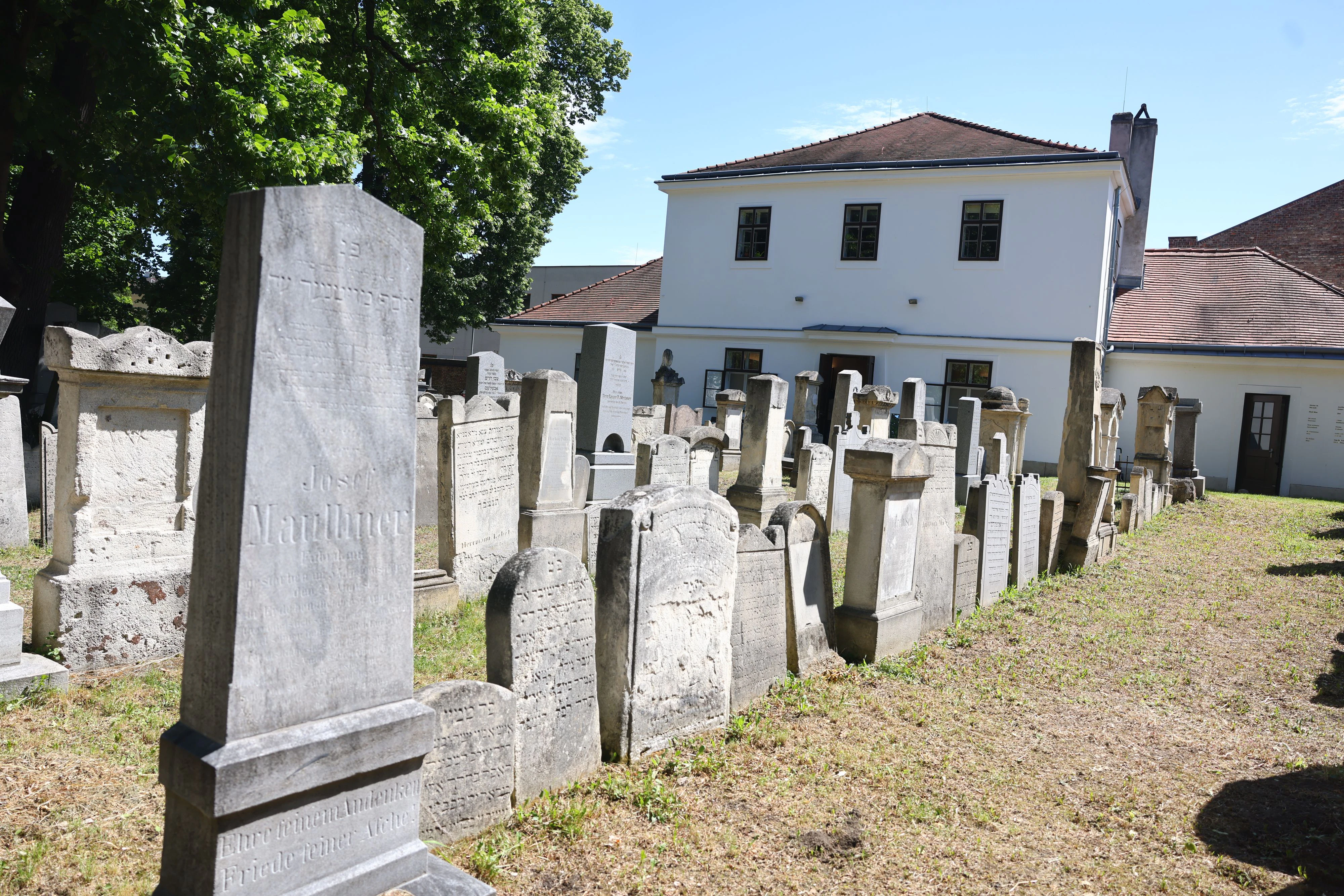Jüdischer Friedhof: Erster Abschnitt saniert - wien.ORF.at