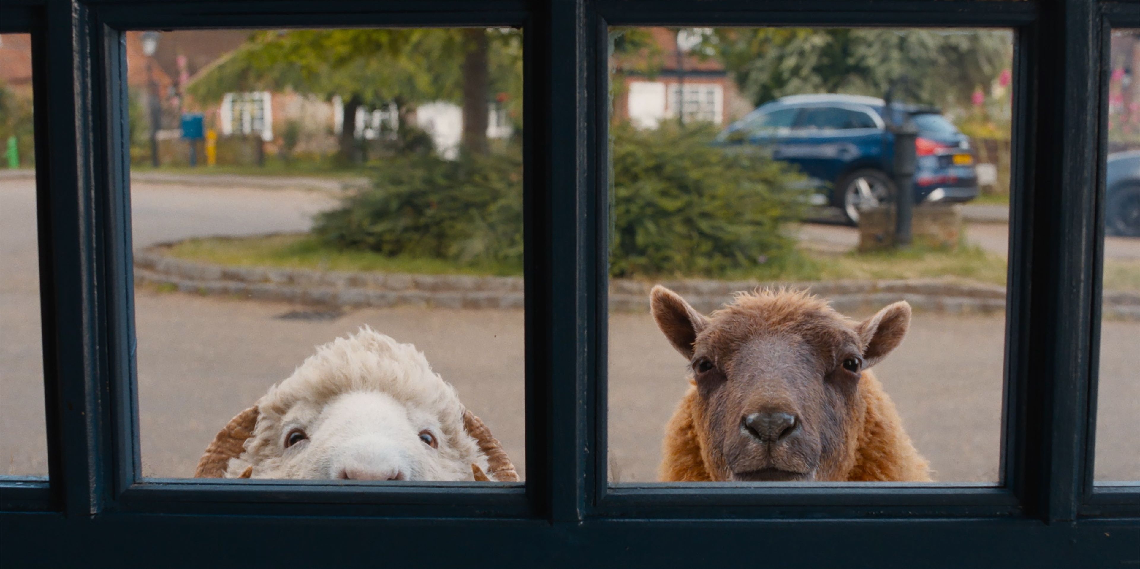 Heute.at - Nicht belämmert: So gehen Schafe im Kino auf Mörderjagd