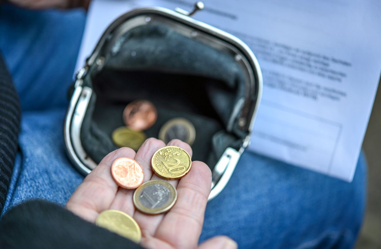 Die Teuerungen sind kaum aufzuhalten - schon gar nicht am Haustiersektor. 