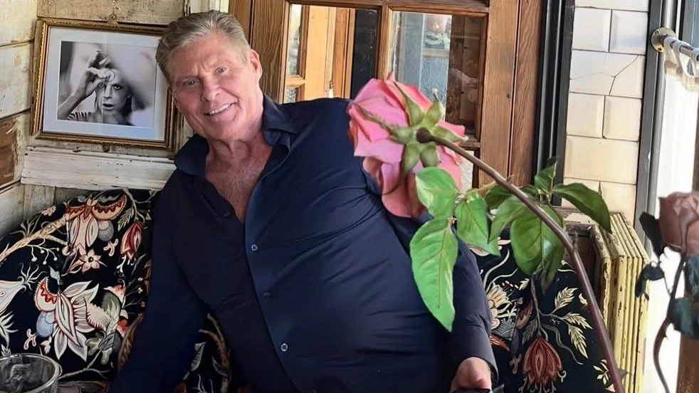 David Hasselhoff