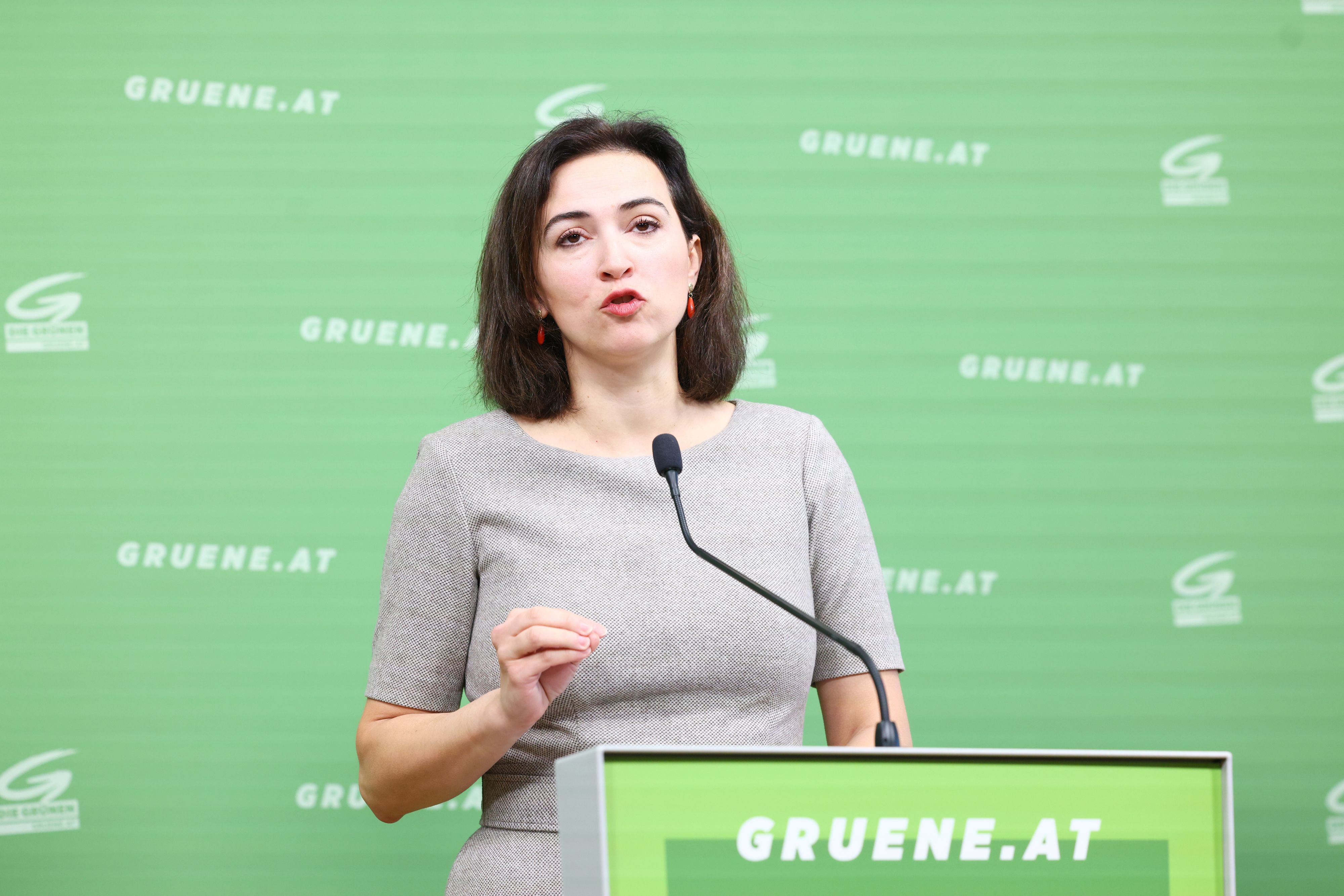 Grüne Ex-Justizministerin Alma Zadic stellte parlamentarische Anfrage zu Metallkäfig in Justizanstalt.