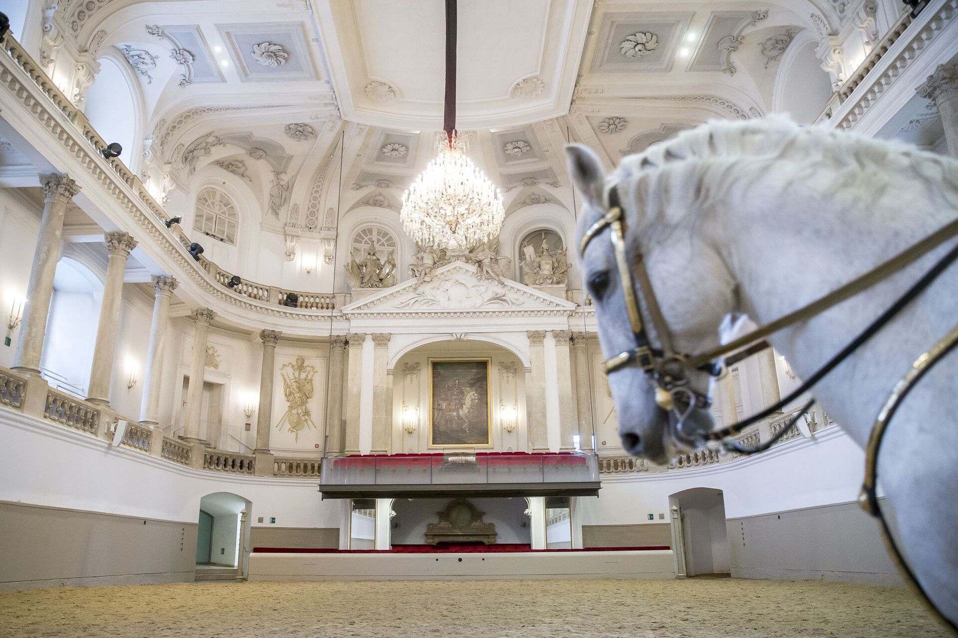 In der Spanischen Hofreitschule in Wien steht nun ein brisanter Verdacht im Raum.  Zwei ehemalige Mitarbeiter sollen insgesamt rund eine Million Euro abgzweigt haben. 