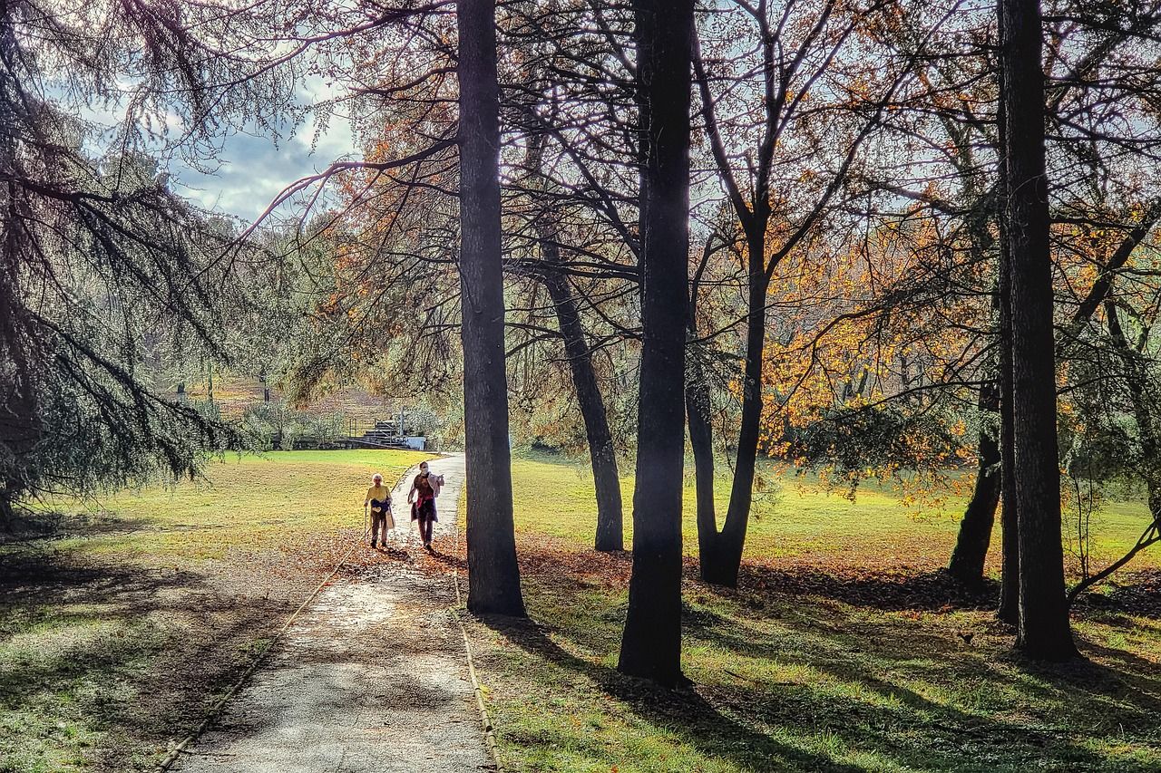 Aktive Senioren beim Nordic Walking
