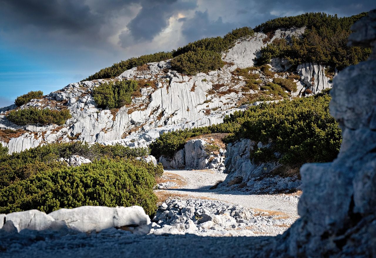 Bergwanderweg in den Alpen