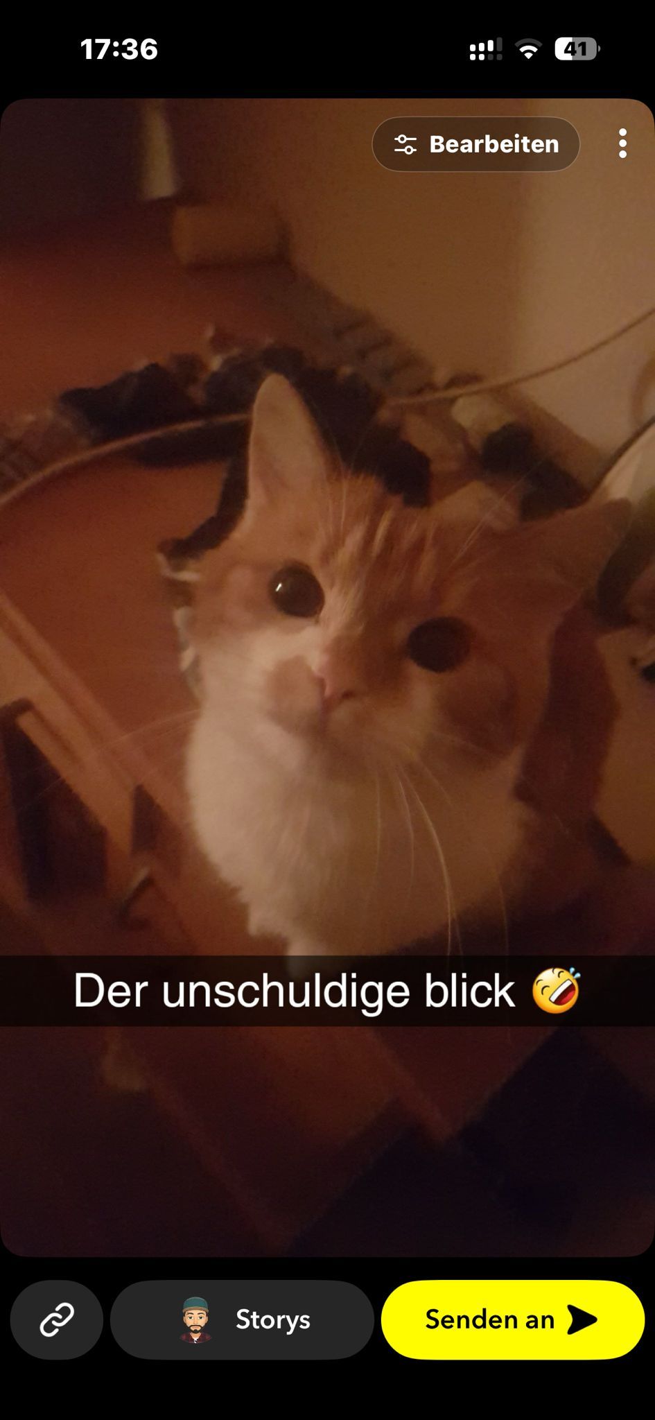 Ein Bild der Katze aus besseren Zeiten.