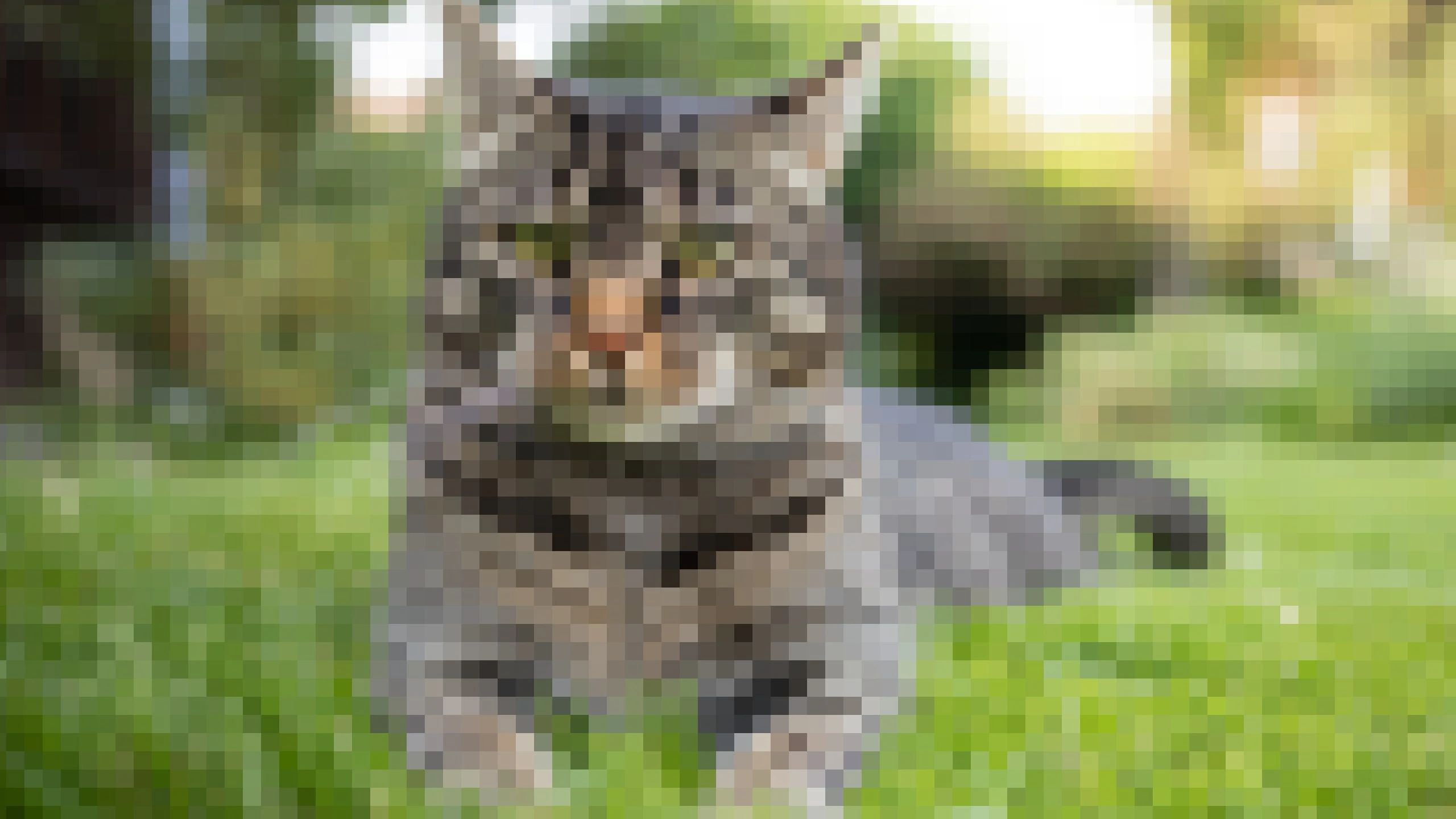 Einer der mutmaßlichen Katzen-Killer soll Mitarbeiter der Bergbahnen SkiWelt Brixen–Wilder Kaiser sein. Das Unternehmen hat sofort nach Bekanntwerden der Vorwürfe öffentlich reagiert.