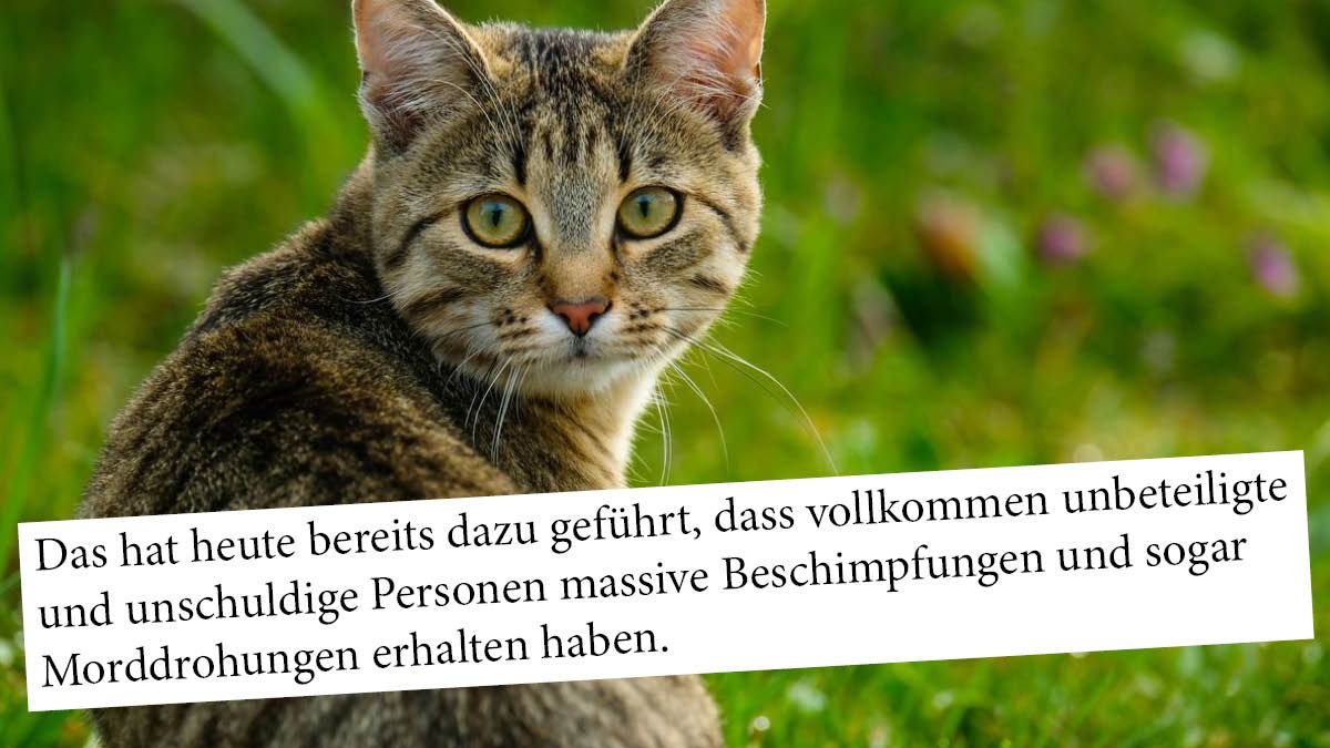 Nach dem Katzenmord gingen wilde Spekulationen los. 