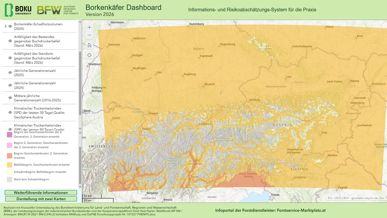 Das Borkenkäfer Dashboard zeigt für Österreich aktuell "Befallsbeginn, Geschwisterbruten erwartet". Im italienischen Flachland und wärmeren Tälern haben diese Geschwisterbruten demnach bereits begonnen.
