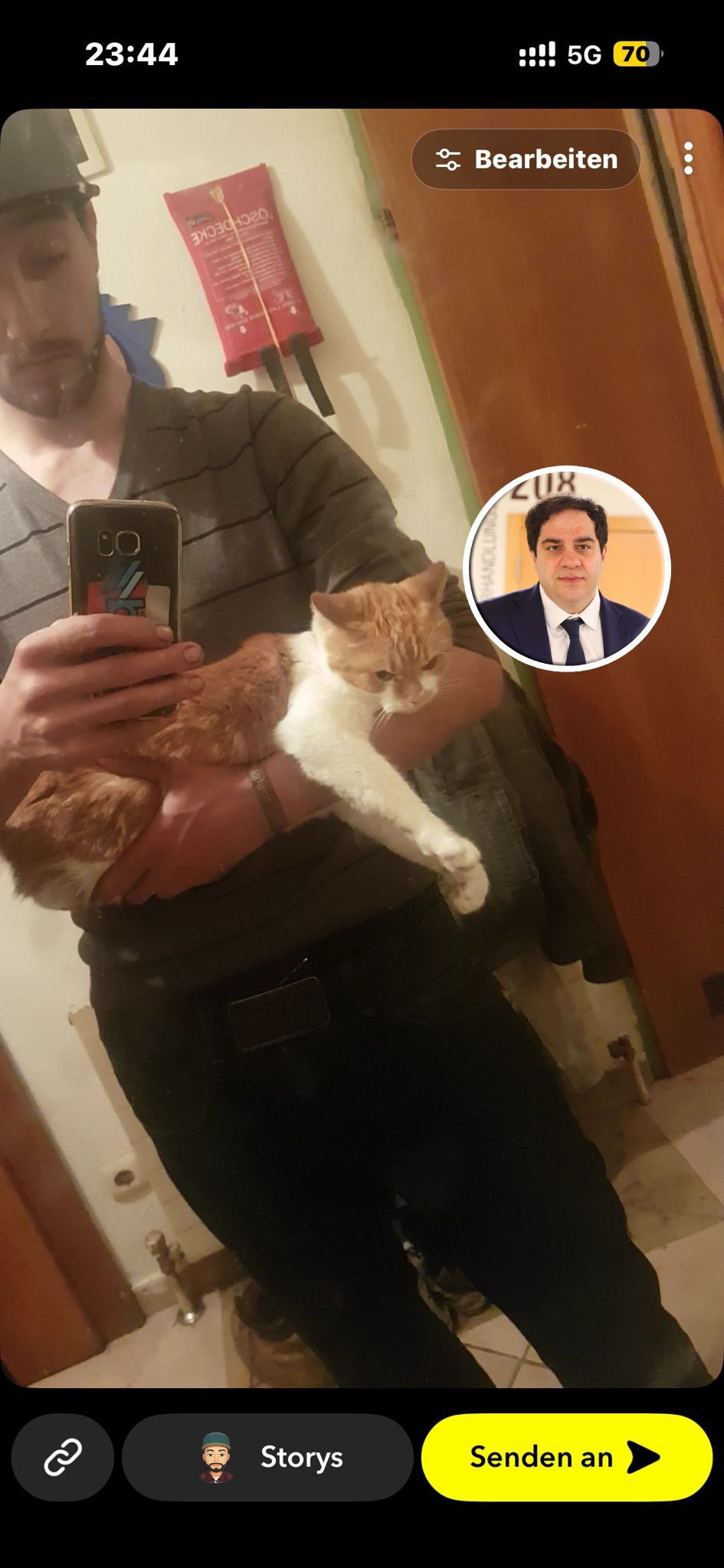 Diese Katze wurde brutal misshandelt, Top-Anwalt Sascha Flatz hilft.