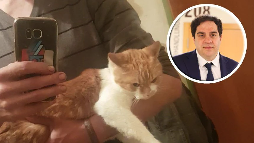 Heute.at - Zu Tode gequält – Katzenbesitzer hat jetzt Star-Anwalt