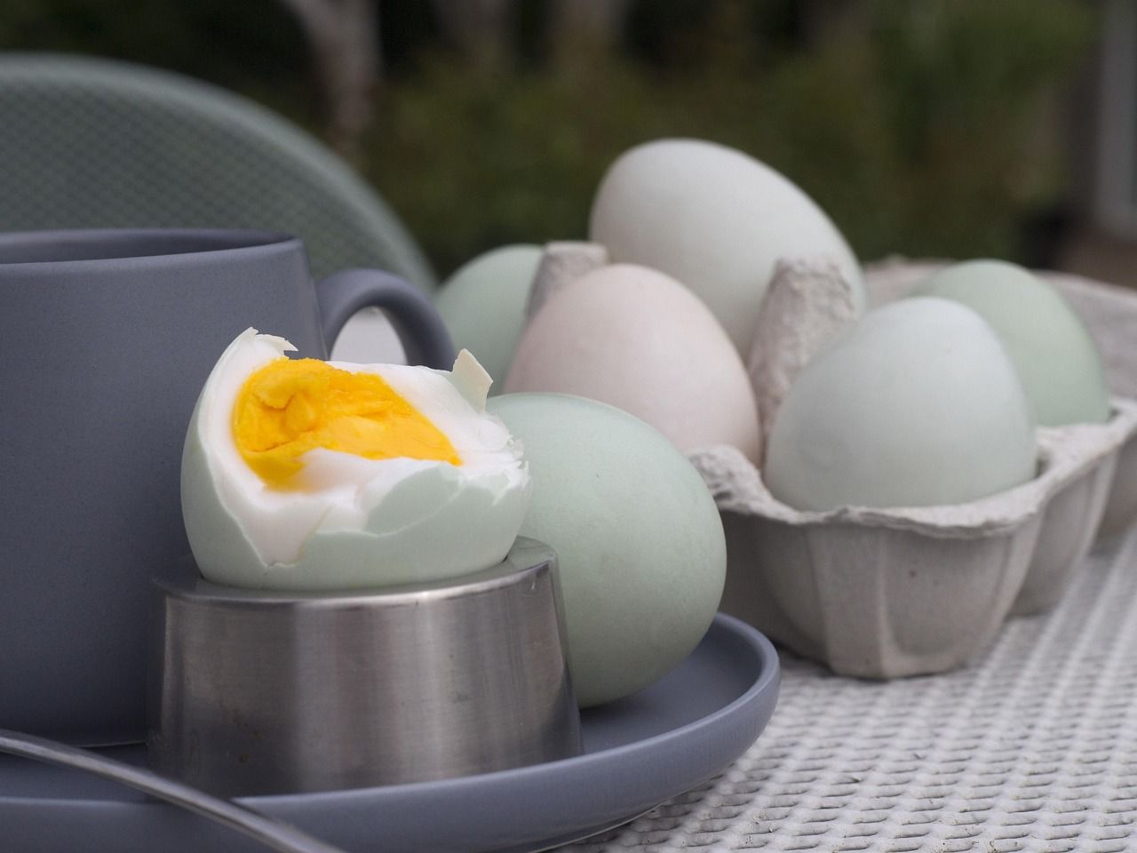 Enteneier zum Frühstück