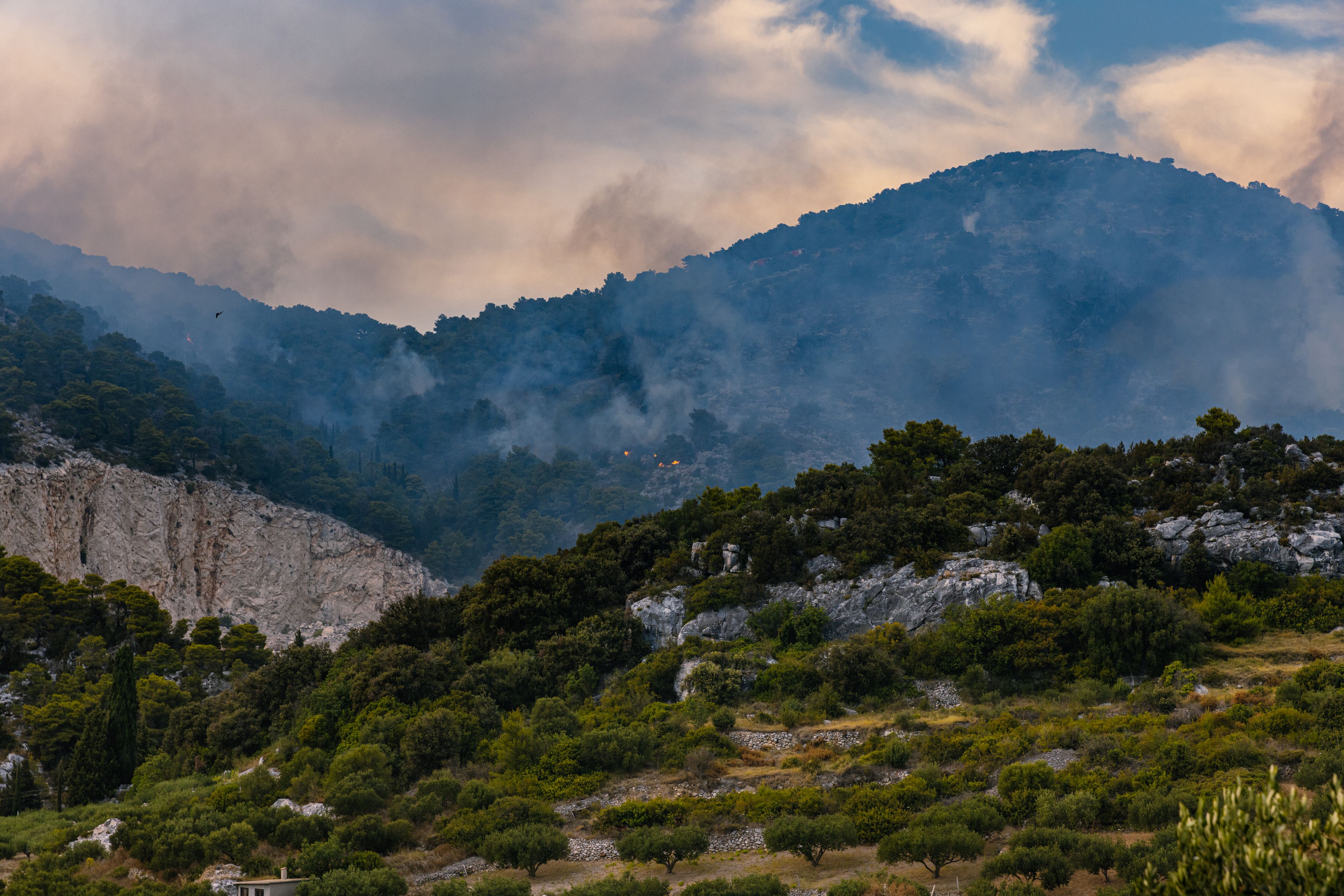In Kroatien wurden 2026 bereits 5.060 Hektar Land von Waldbränden verwüstet. (Symbolbild)