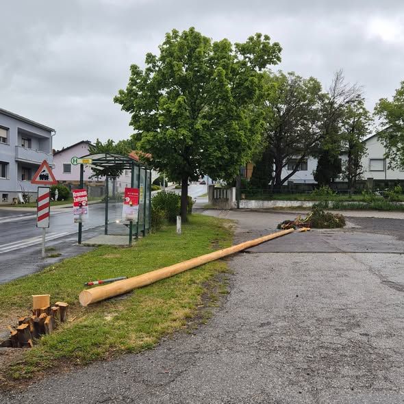 Heute.at - Hirnlose Aktion – Maibaum-Ärger im Burgenland