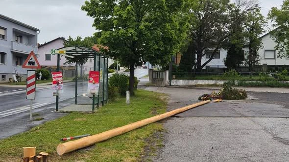 Der Maibaum in Horitschon wurde umgeschnitten.