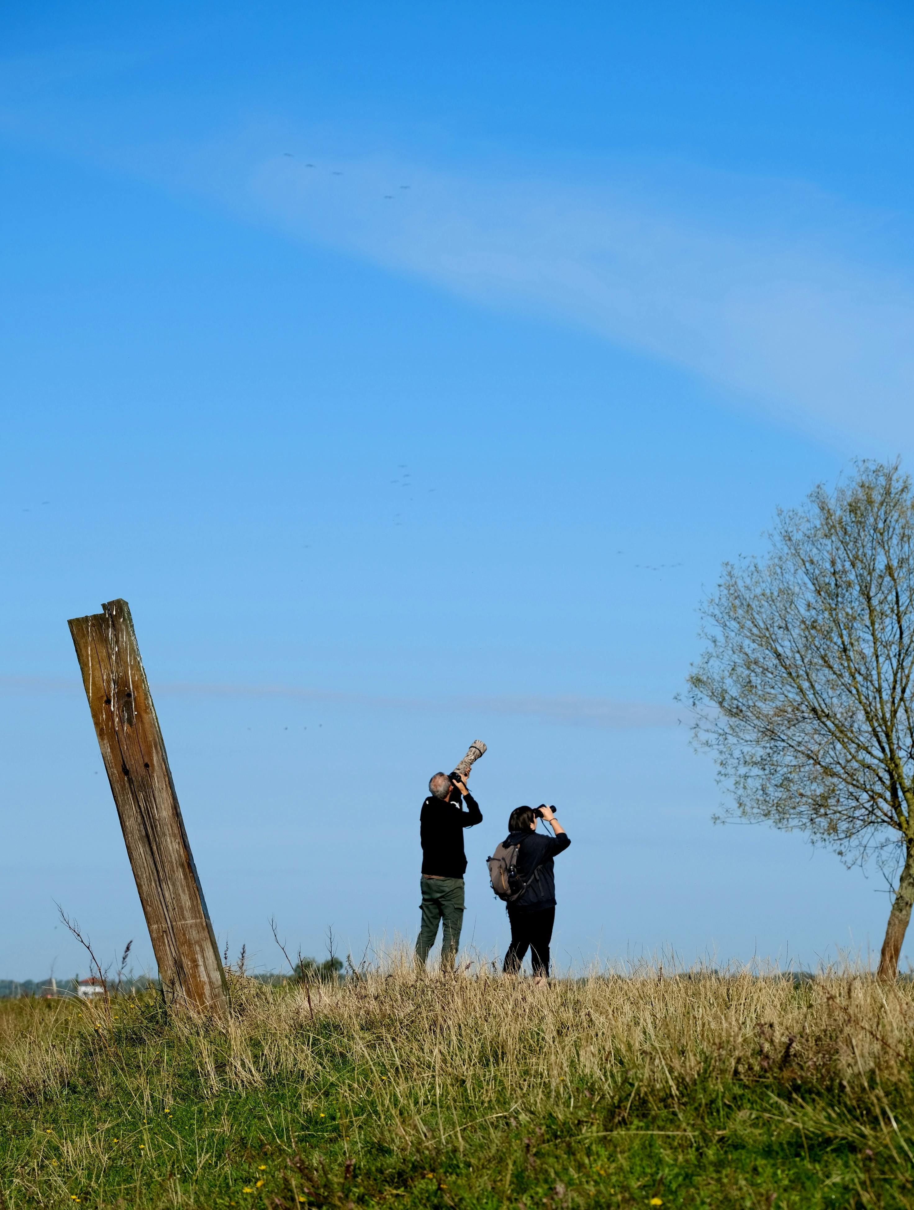 Heute.at - Das BirdRace startet – jede Vogelart bringt bares Geld