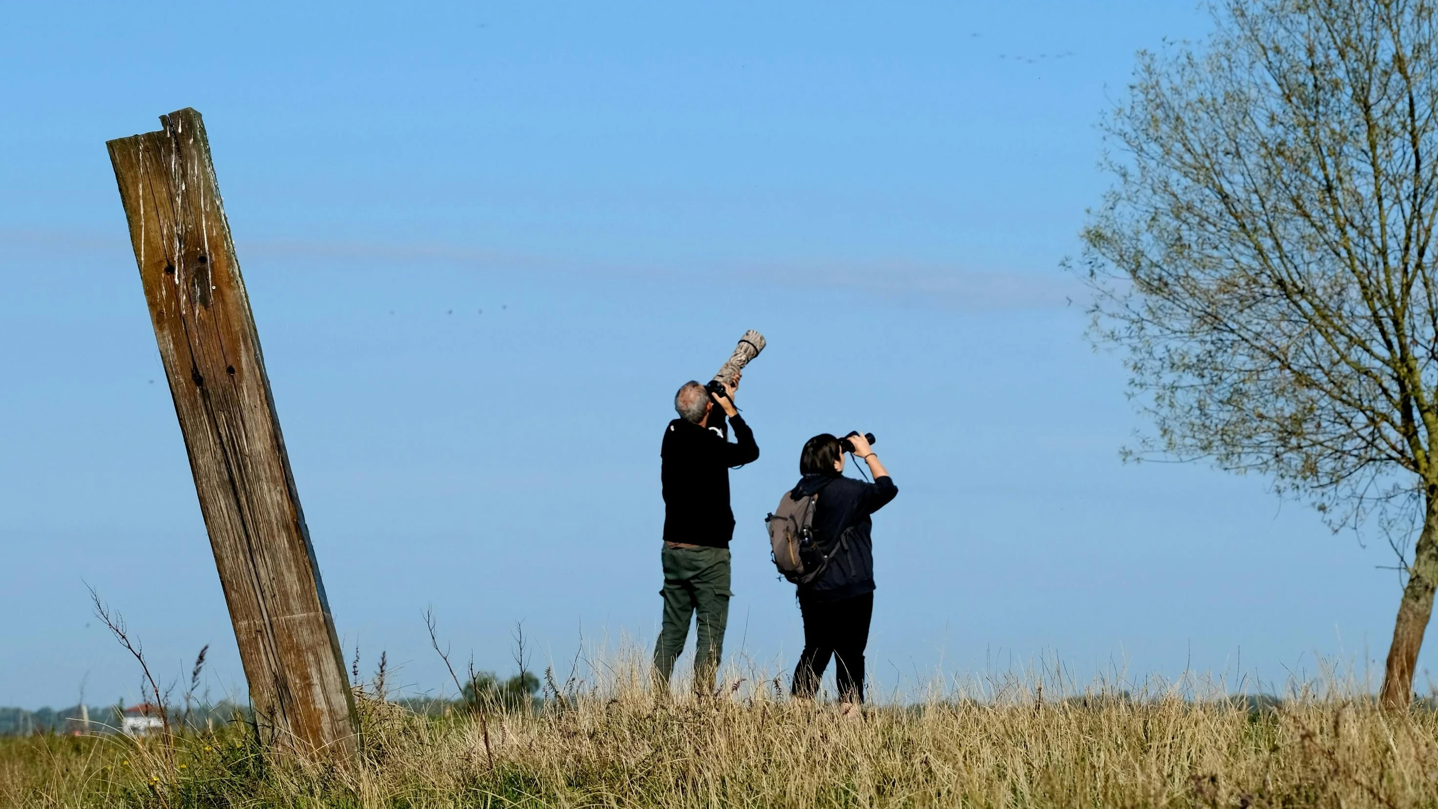 Bei einem "BirdRace" rennen nicht die Vögel, sondern ihre Beobachter hinter selbigen her.