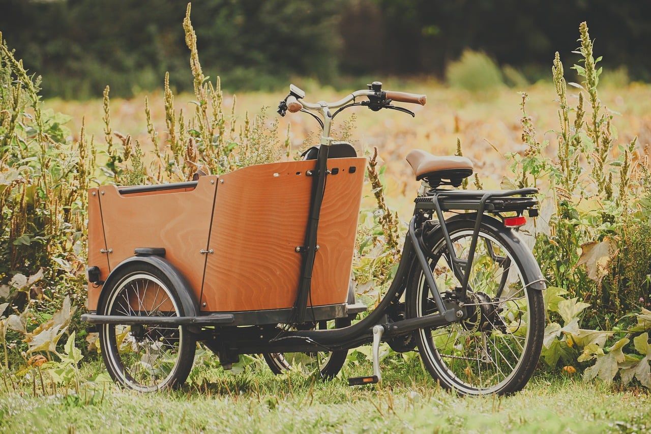 Lastenrad in der Natur