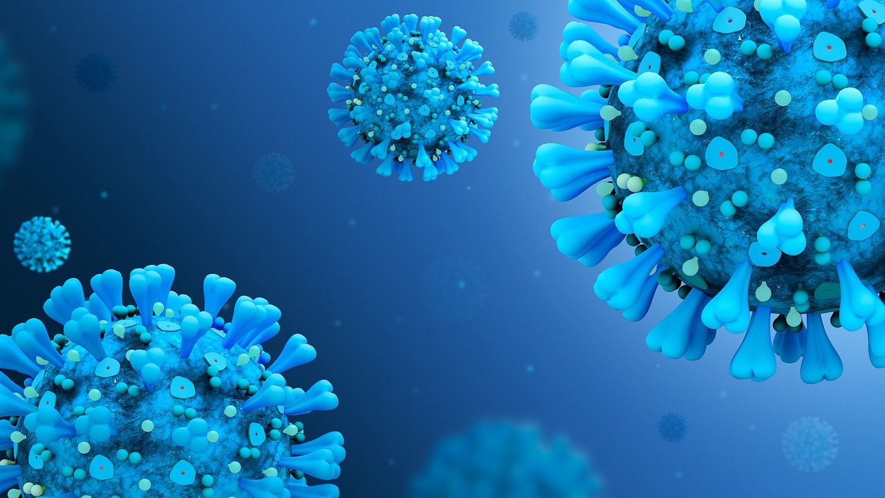 Virus-Ausbruch: Die globale Gesundheitskrise