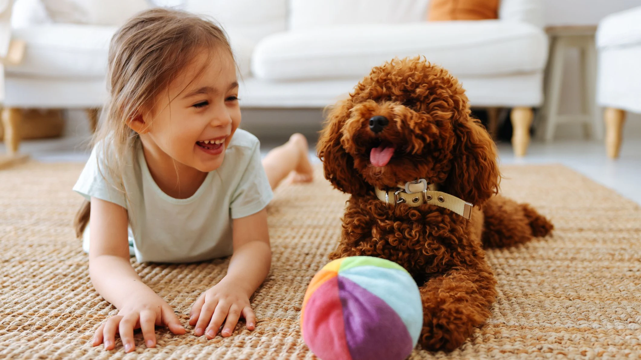 Hunde können Kinder gar nicht "automatisch" liebhaben. 