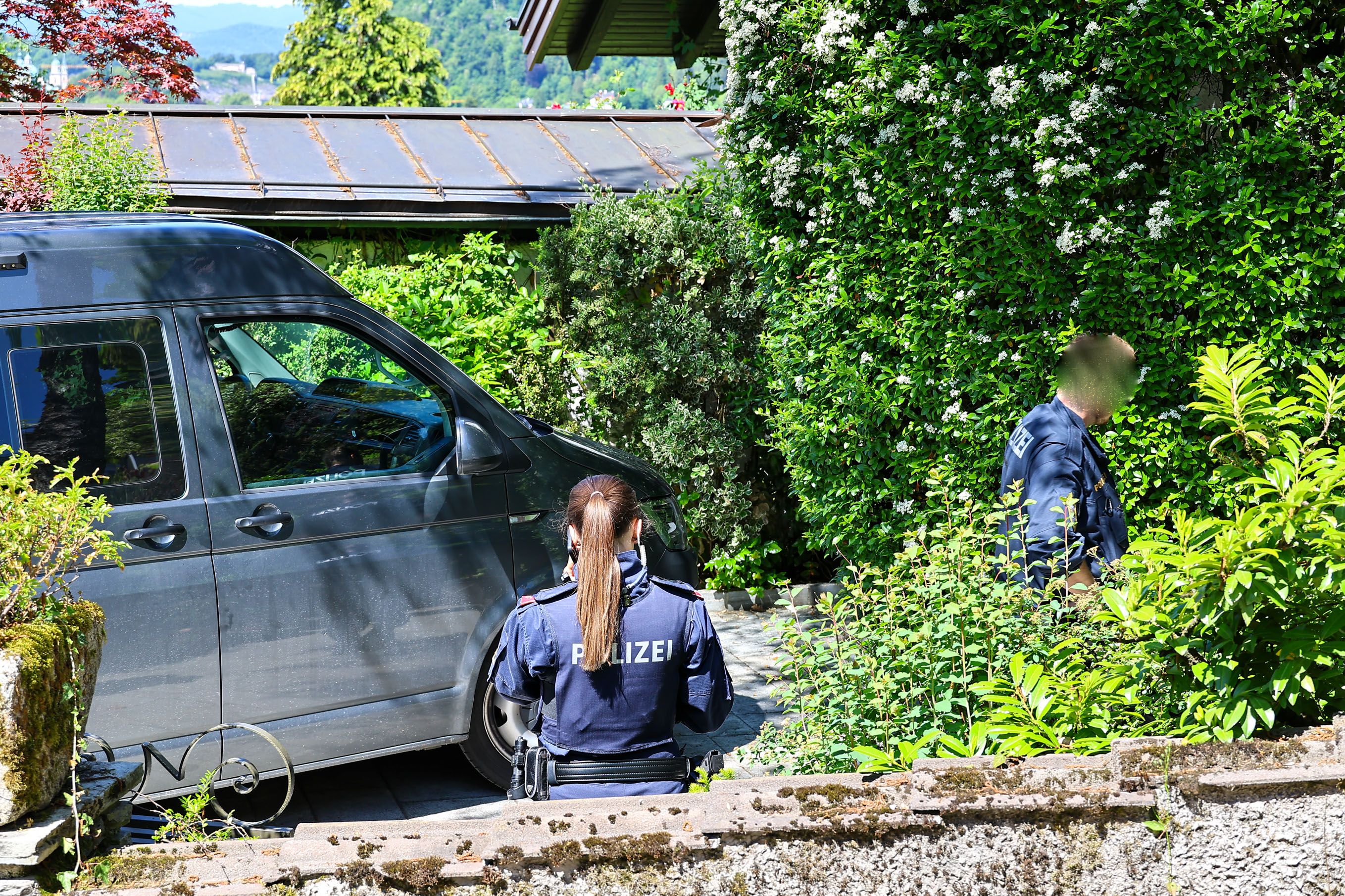 Auch die Cobra steht im Einsatz.