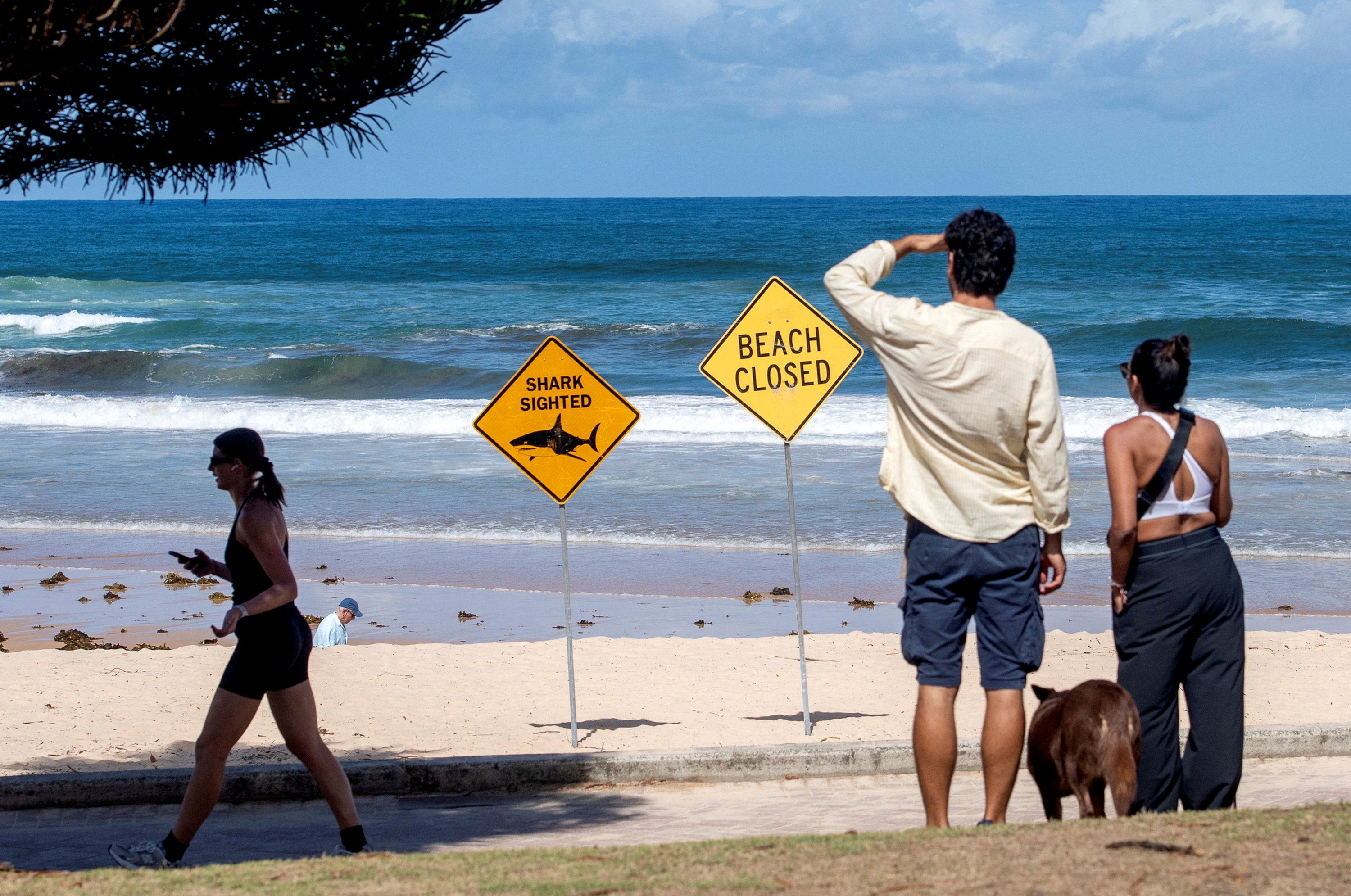 In den letzten Monaten kam es vermehrt zu Hai-Attacken in Australien. (Archivfoto)