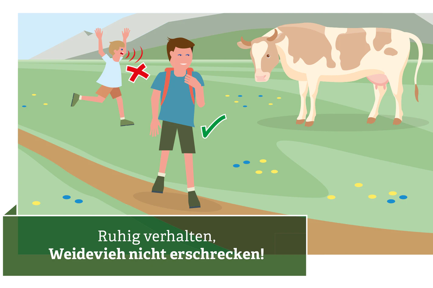 2. Nicht schreien, laufen, herumtollen oder die Tiere sonst wie verängstigen