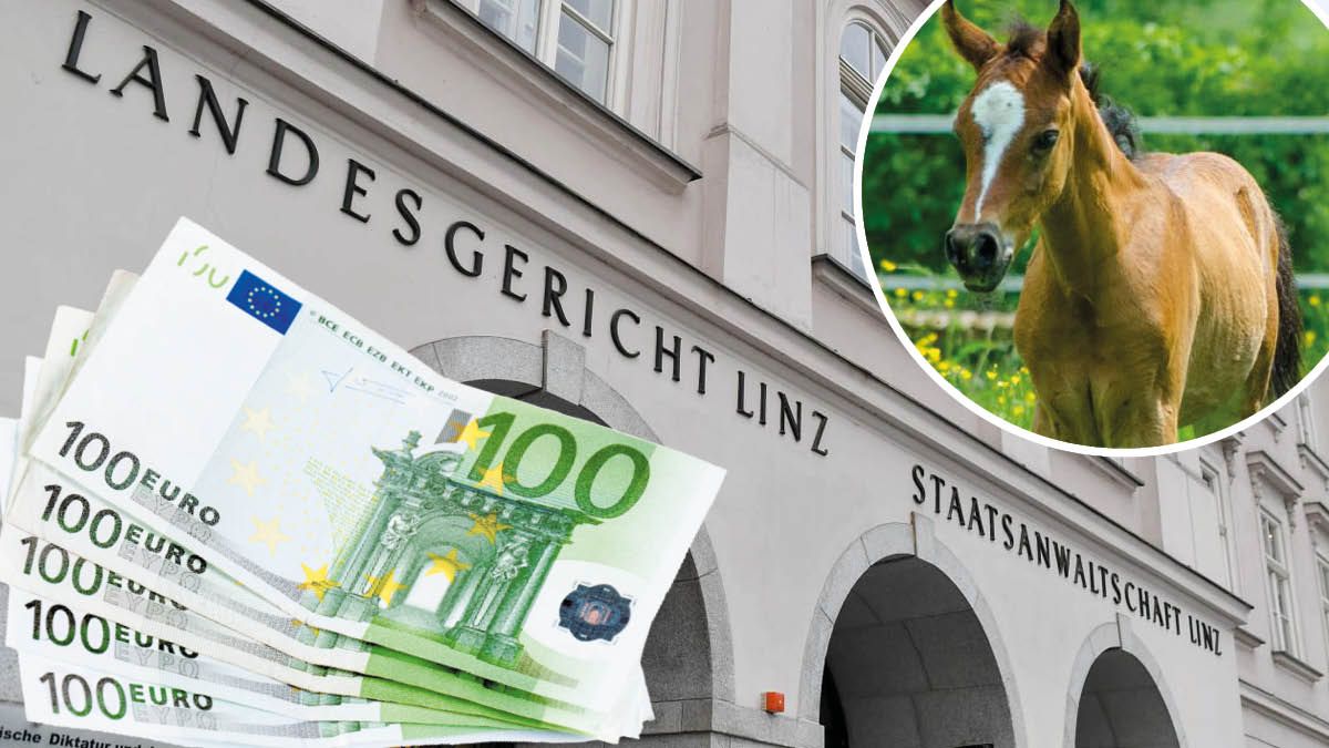 Schlimme Vorwürfe: Die Managerin soll mit Spendengeld ihren Lifestyle finanziert haben.