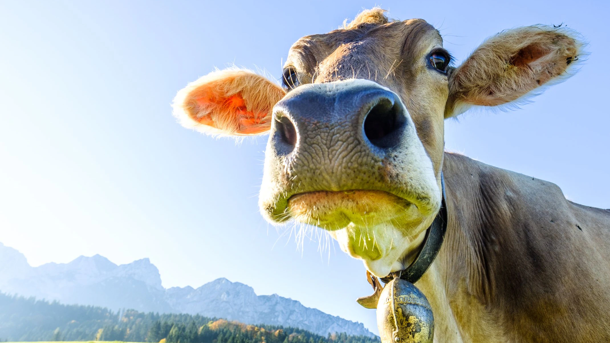 So verhält man sich am Berg richtig