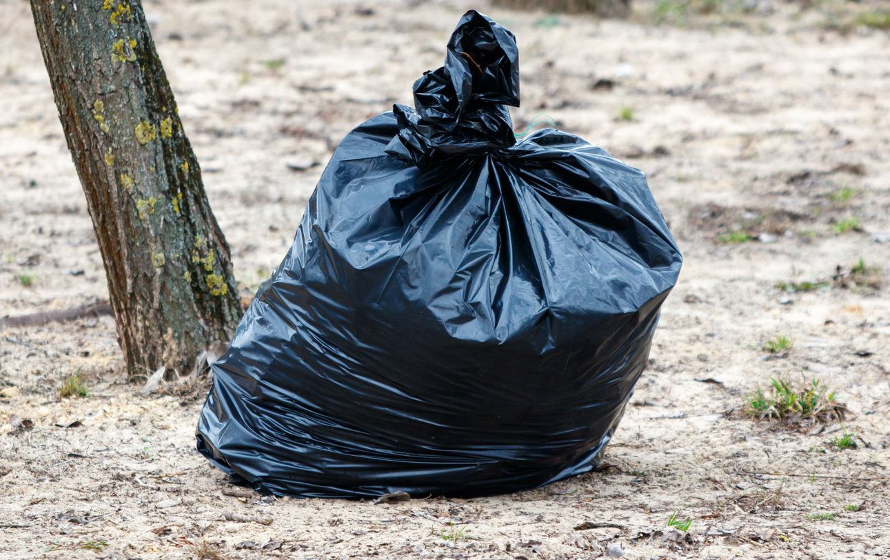 Heute.at - Katze mit drei Babys einfach in Plastiksack gestopft