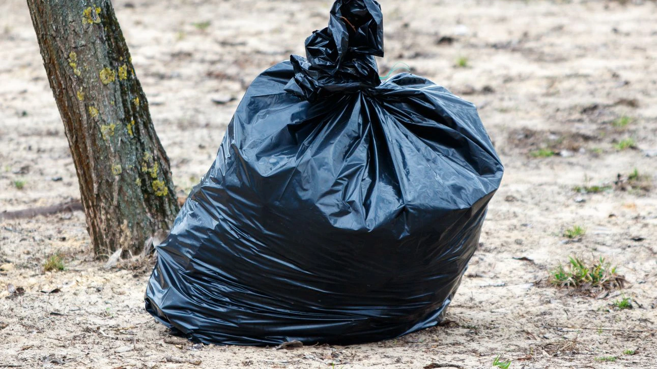 Ein unbekannter Täter stopfte eine Katzenmama samt ihren drei Jungtieren einfach in einen Plastikbeutel und suchte das Weite. 