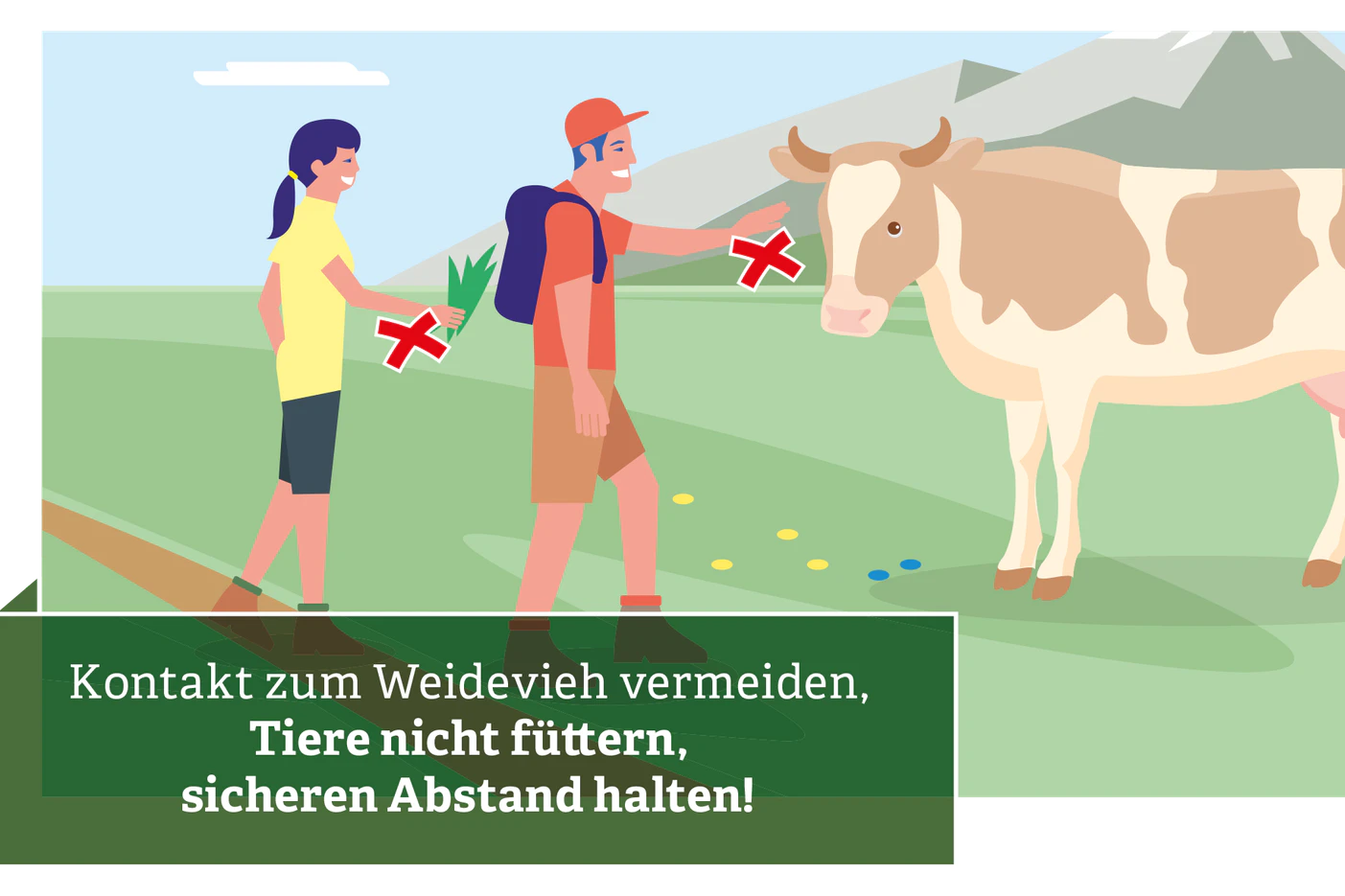 10 Regeln für das Wandern über Almen und Weiden: 1. Immer auf Abstand zu den Tieren bleiben, auch wenn sie noch so friedlich wirken