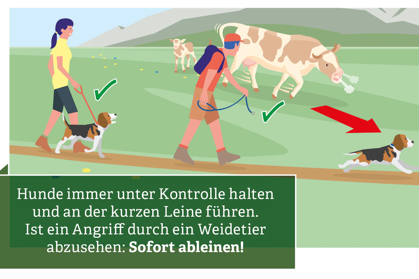 4. Leine ganz kurz halten und im Fall einer Attacke den Hund sofort ableinen, damit er fliehen kann