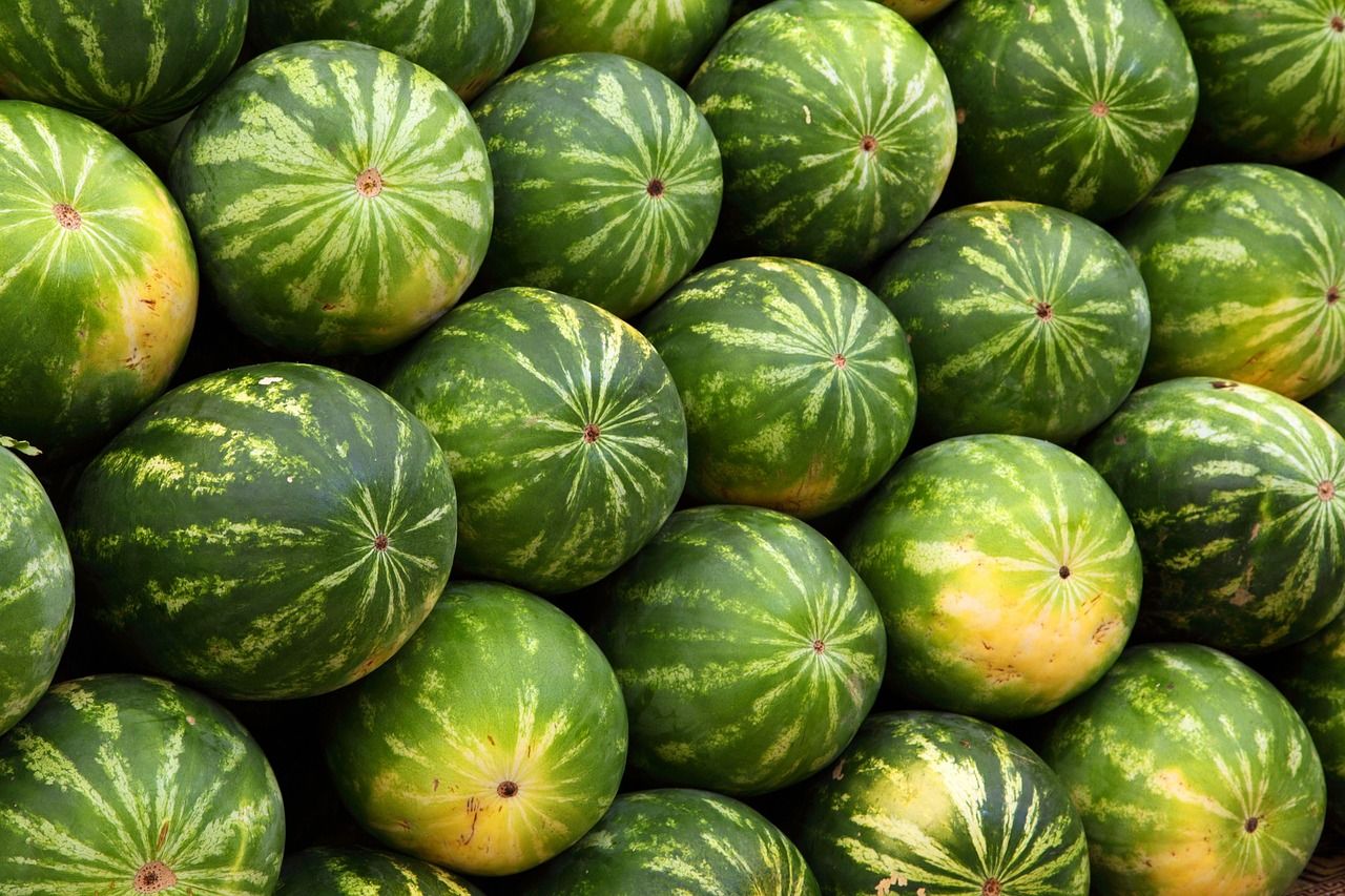 Frische Wassermelonen auf dem Markt