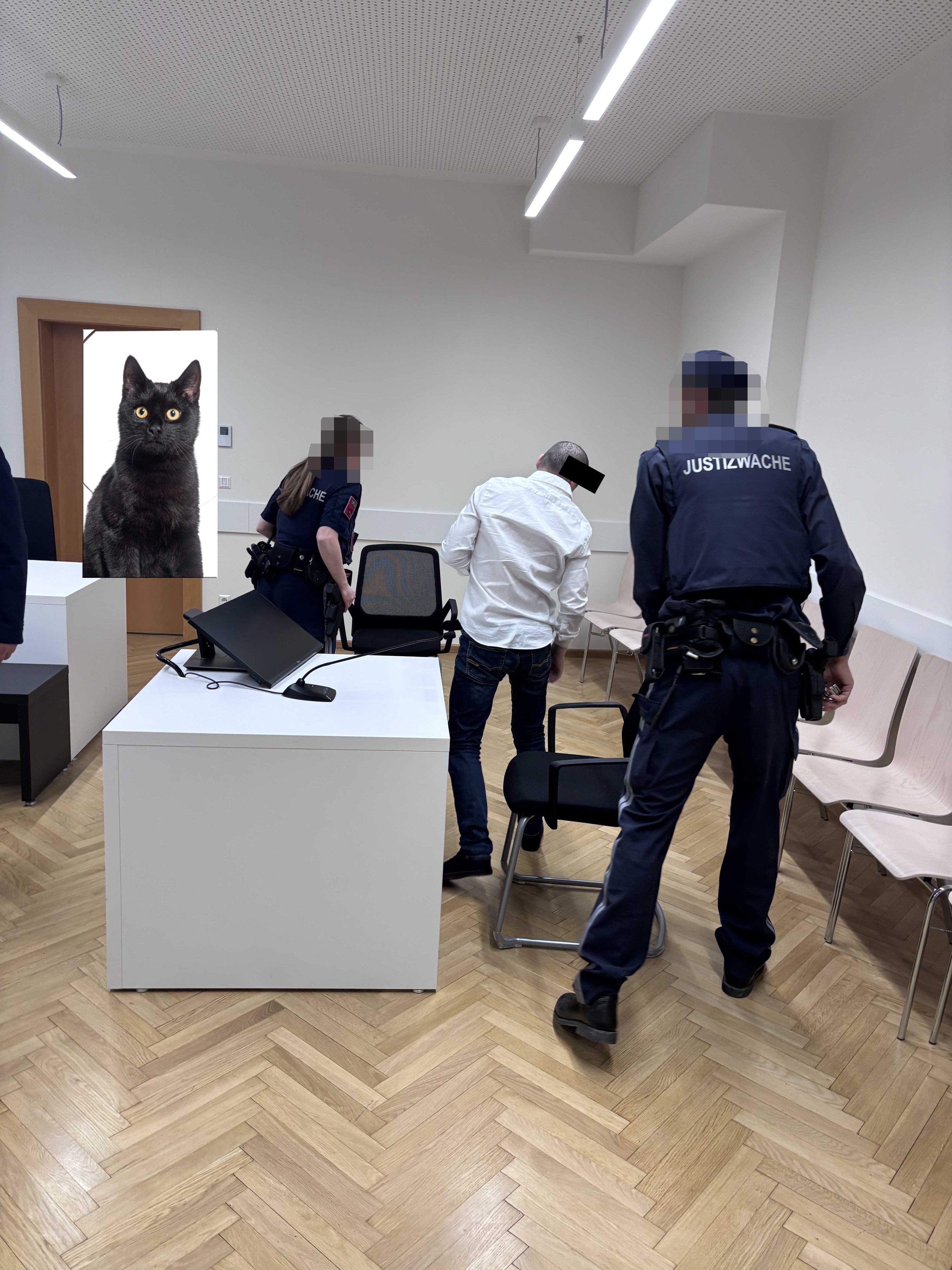 Der Angeklagte soll eine Katze in Wien mit bloßen Händen erwürgt haben.
