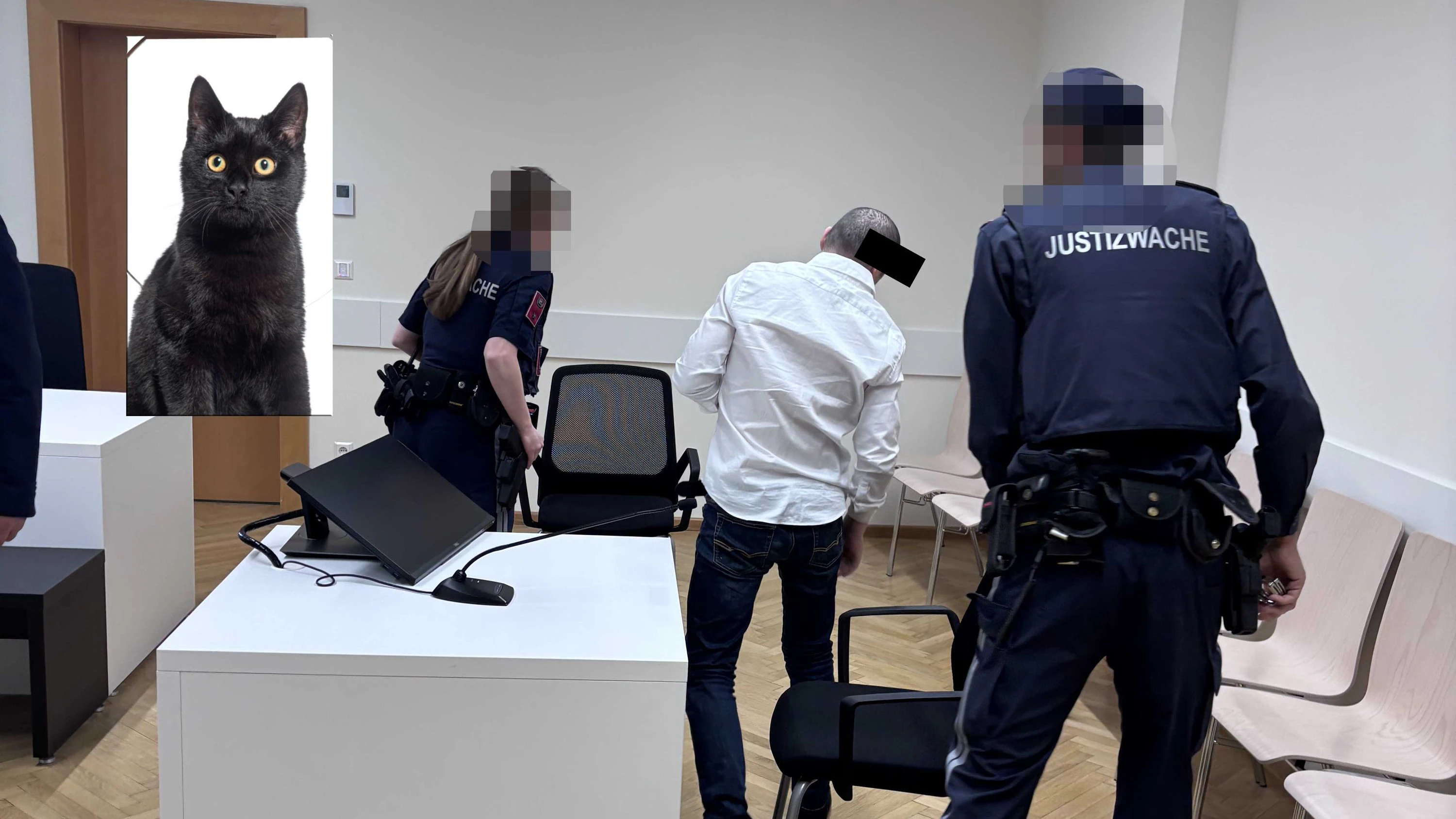 Der Angeklagte soll Katze getötet haben. 