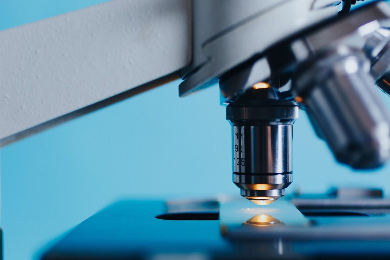 Virologische Laboruntersuchung