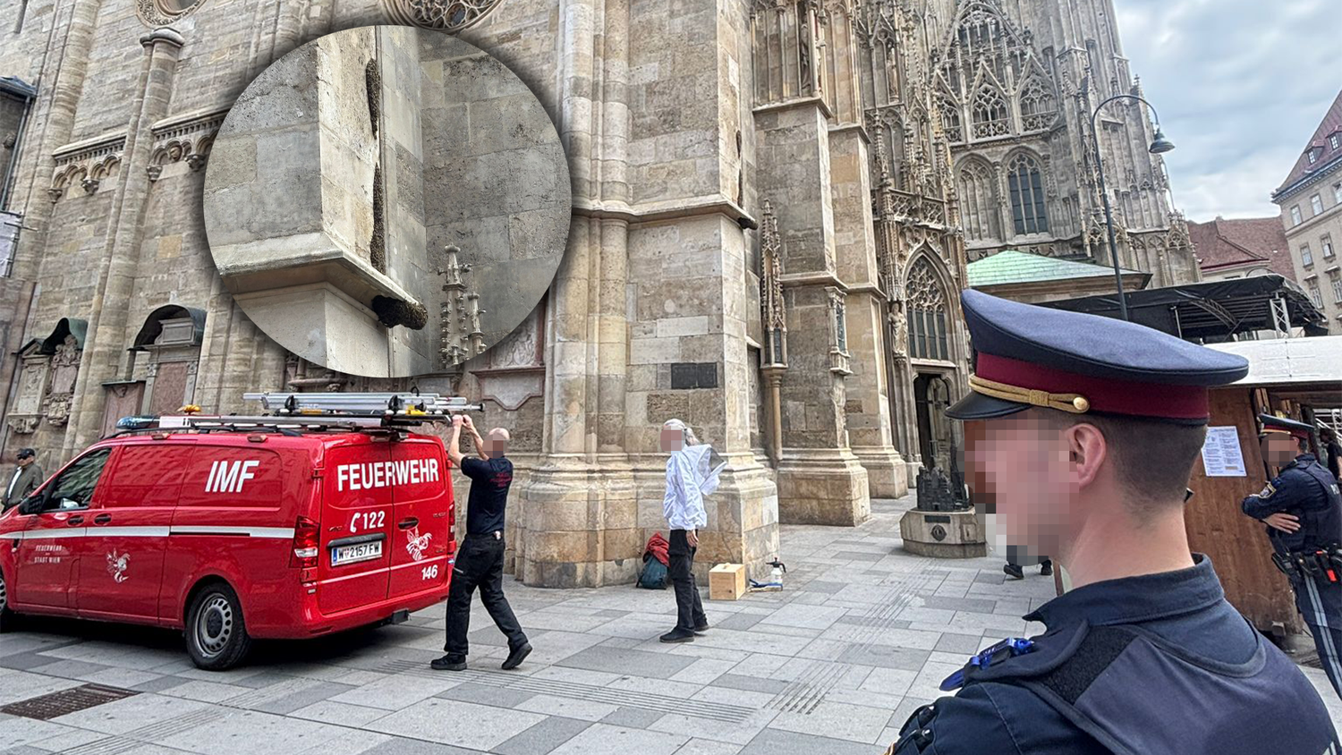 Der Stephansdom wurde von einem Bienenvolk regelrecht belagert. 